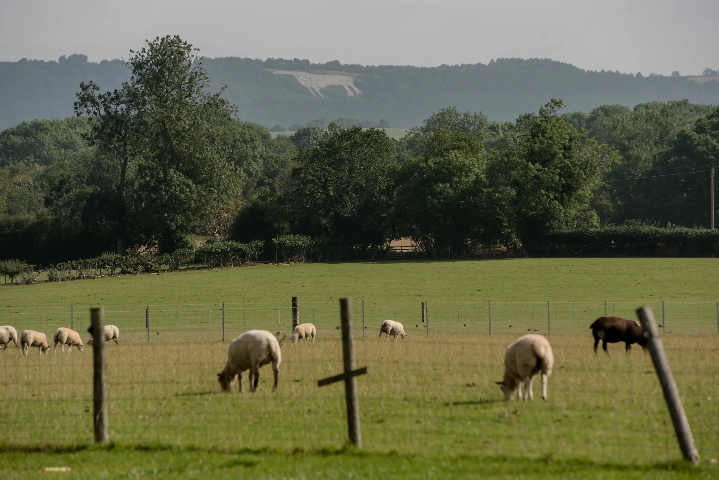 untitled-0075 (1).jpg