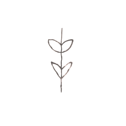 A simple line drawing of a small plant with two leaves on each side, growing from a single stem.