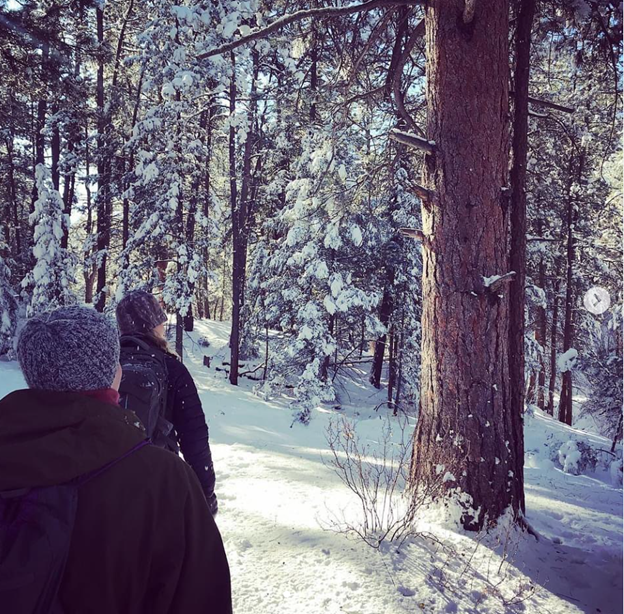 Two people walking through a snowy forest with tall trees, some covered in snow, on a bright winter day.