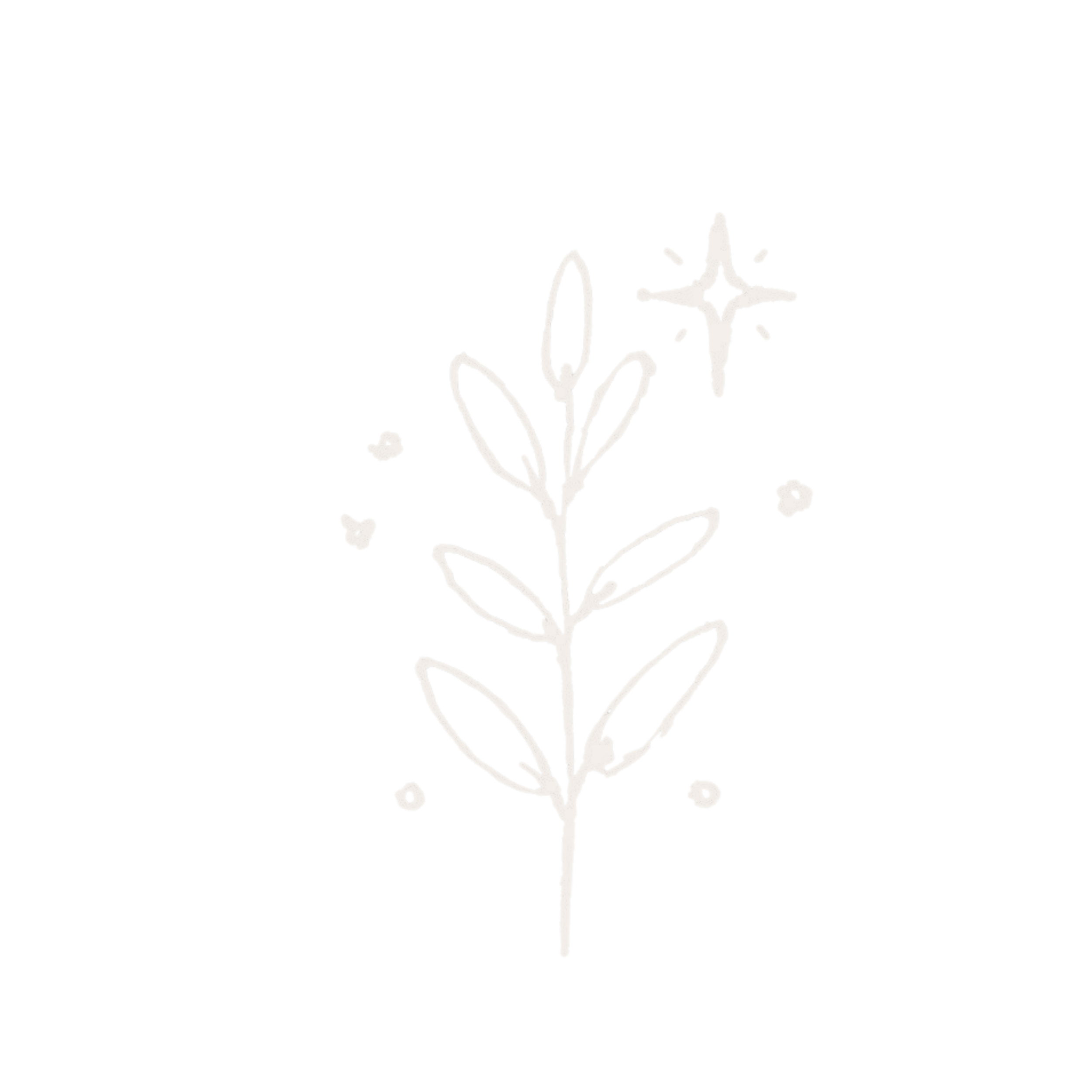 A flowering plant with white blossoms and green leaves against a black background.