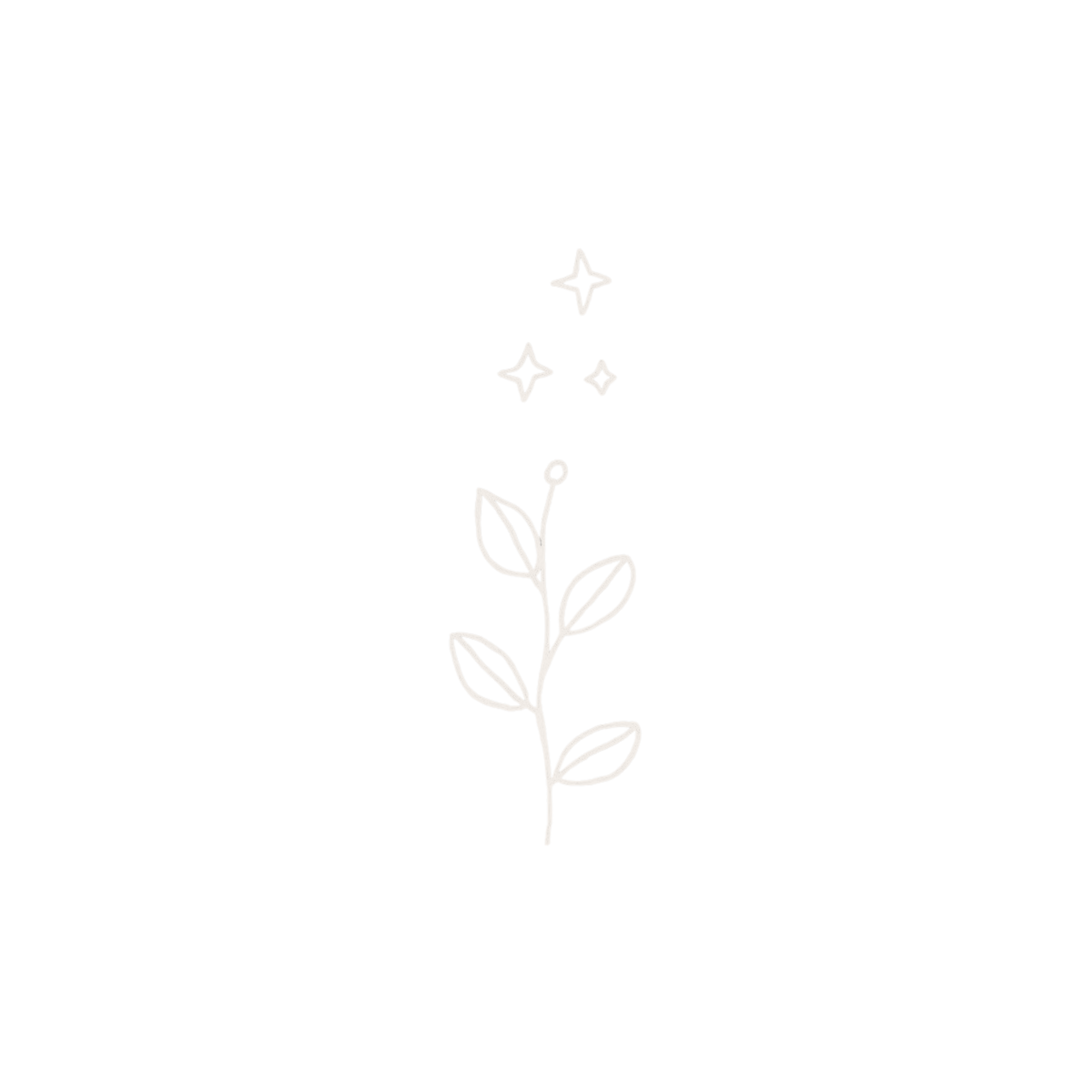 Outline drawing of a plant with leaves and flowers, and four sparkles above the plant.