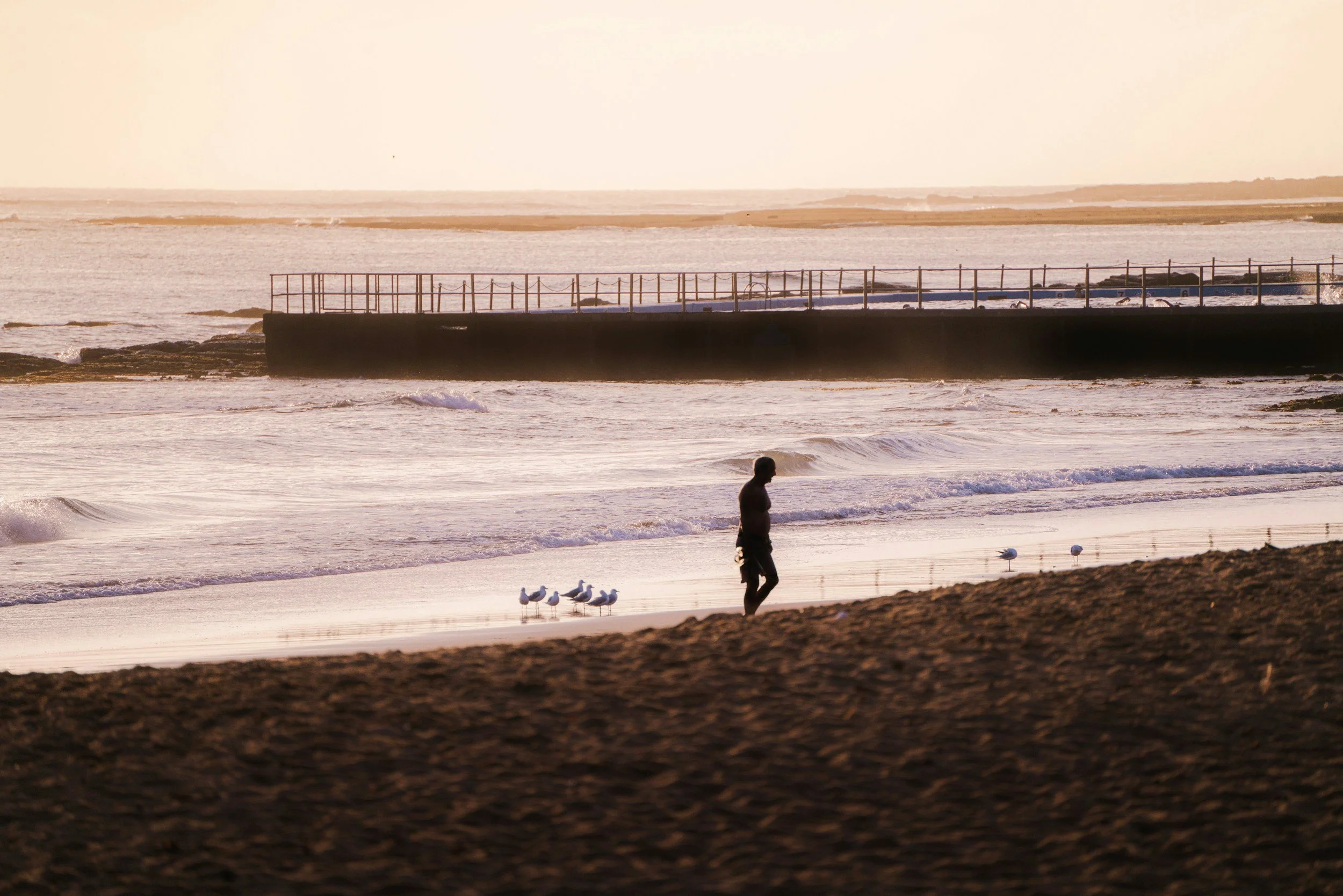 Ein Mensch geht am Strand entlang, im Hintergrund Möwen, Meer und Himmel bei Sonnenuntergang.