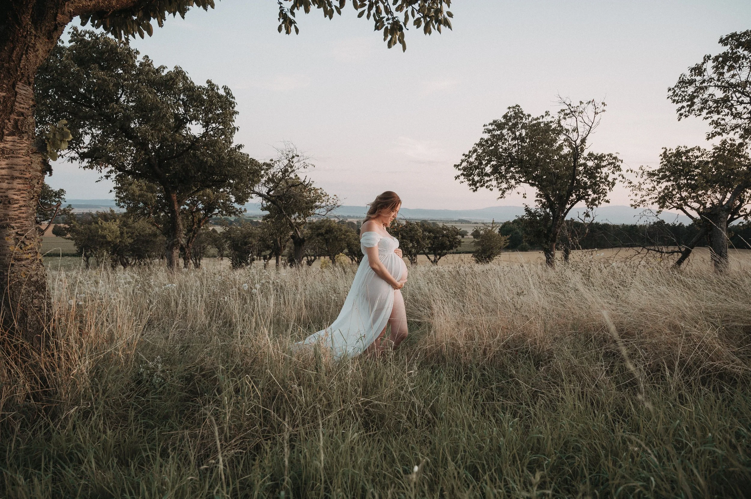 Schwangere Frau in weißem Kleid steht in einem hohen Grasteppich in einem Feld mit Bäumen im Hintergrund.