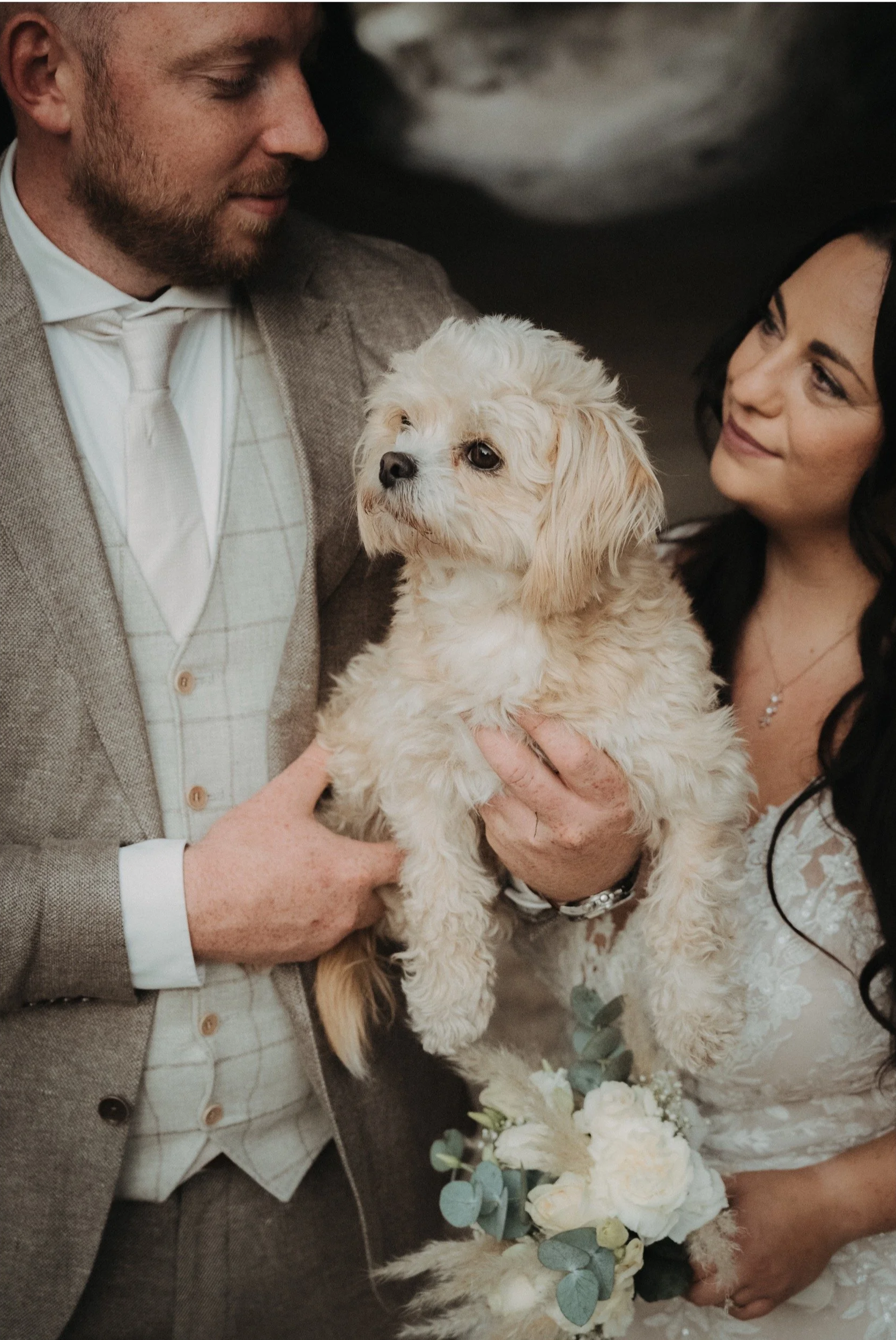 Ein Brautpaar hält einen kleinen Hund bei einer Hochzeit, die Frau trägt ein weißes Hochzeitskleid und hält einen Blumenstrauß, der Mann trägt einen grauen Anzug und eine Krawatte.