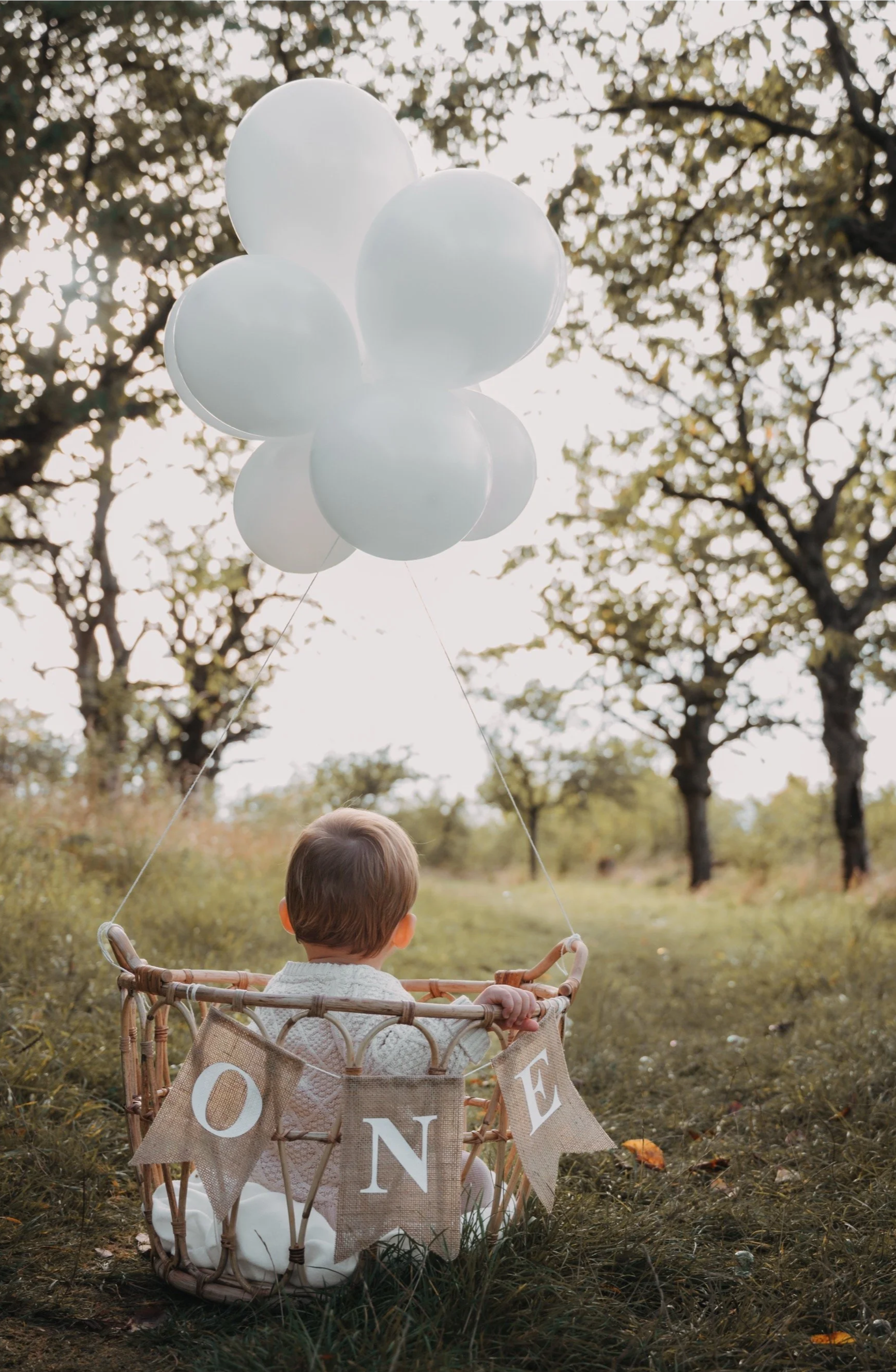Ein Kleinkind sitzt in einer Korbwagen mit einer Schnur, an der weiße Ballons befestigt sind, in einem Park mit Bäumen, bei Sonnenaufgang oder Sonnenuntergang. An der Seite des Korbwagens hängt ein Stoffbanner mit den Buchstaben "ONE".
