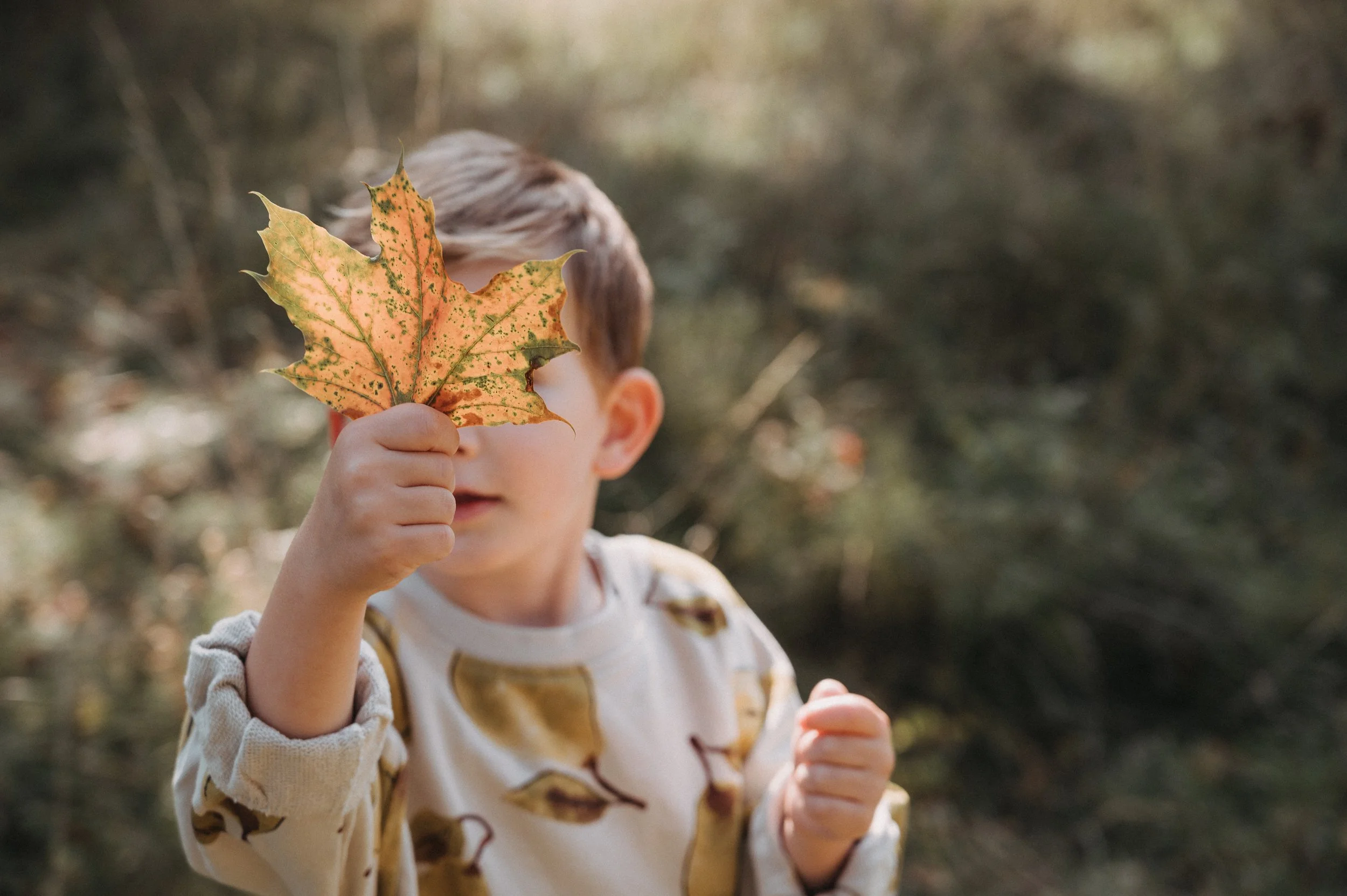 Ein Kind hält einen großen, braun-orangefarbenen Herbstahornblatt vor das Gesicht