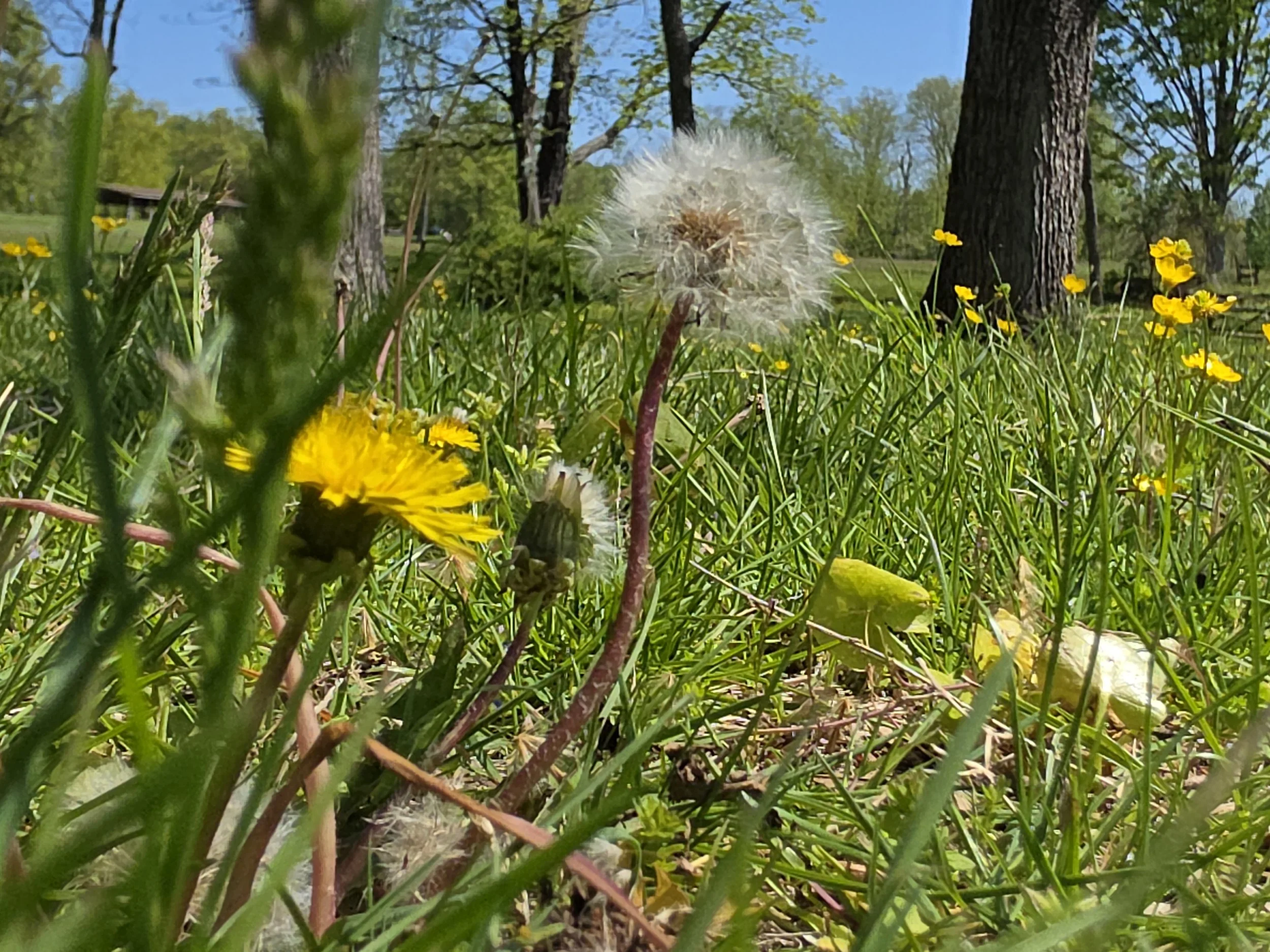 Why So Many People Feel Stuck in “Survival Mode” — and How Holistic Wellness Practices Can Support Rest and Reconnection
