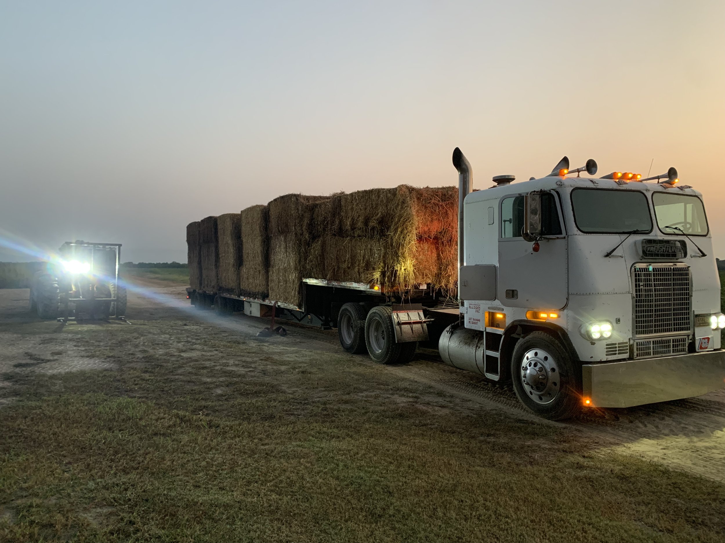 A white semi-truck carrying hay bales parked on a dirt road during dusk, with bright lights shining from a tractor nearby.