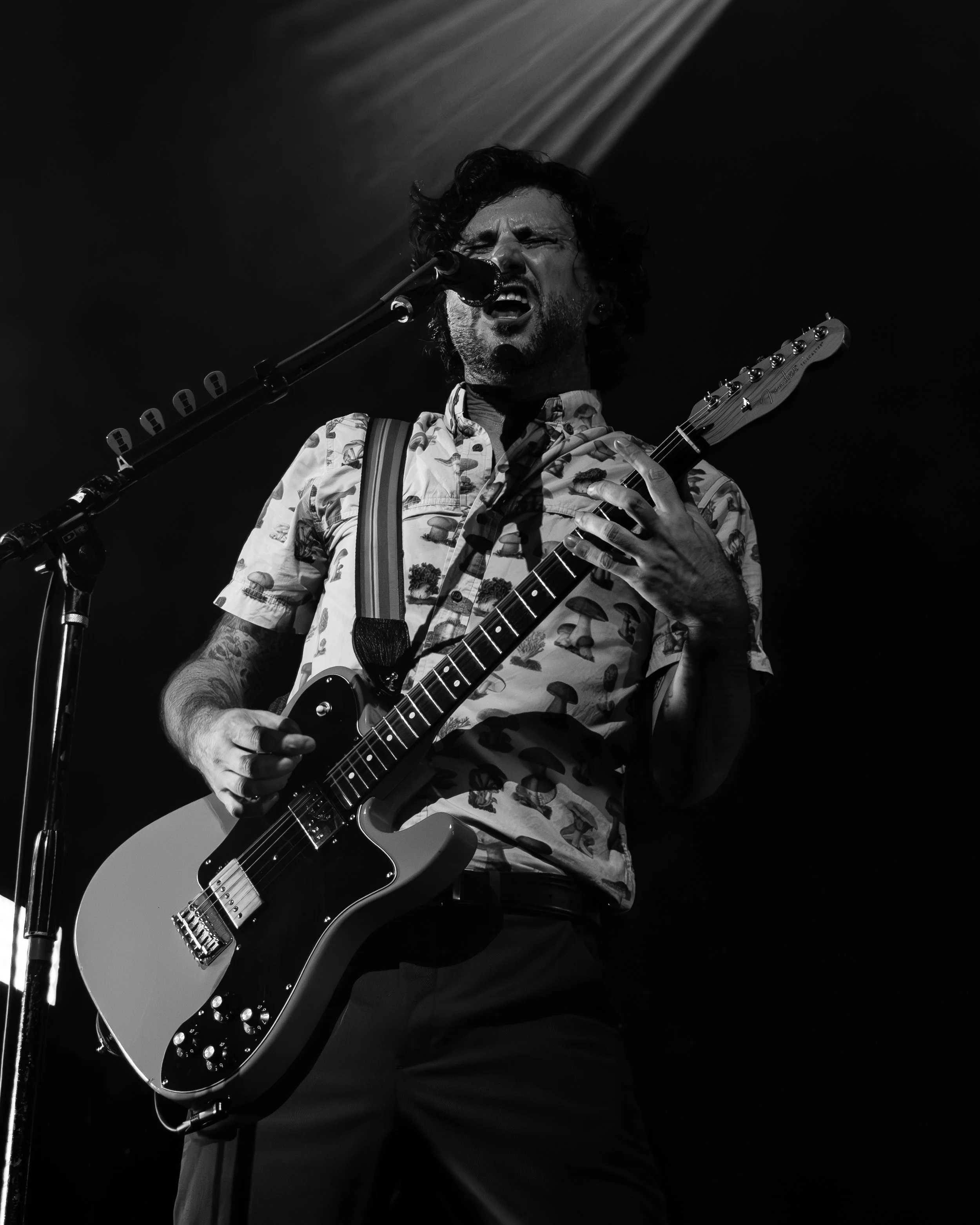 tbs-bw-1.jpg
