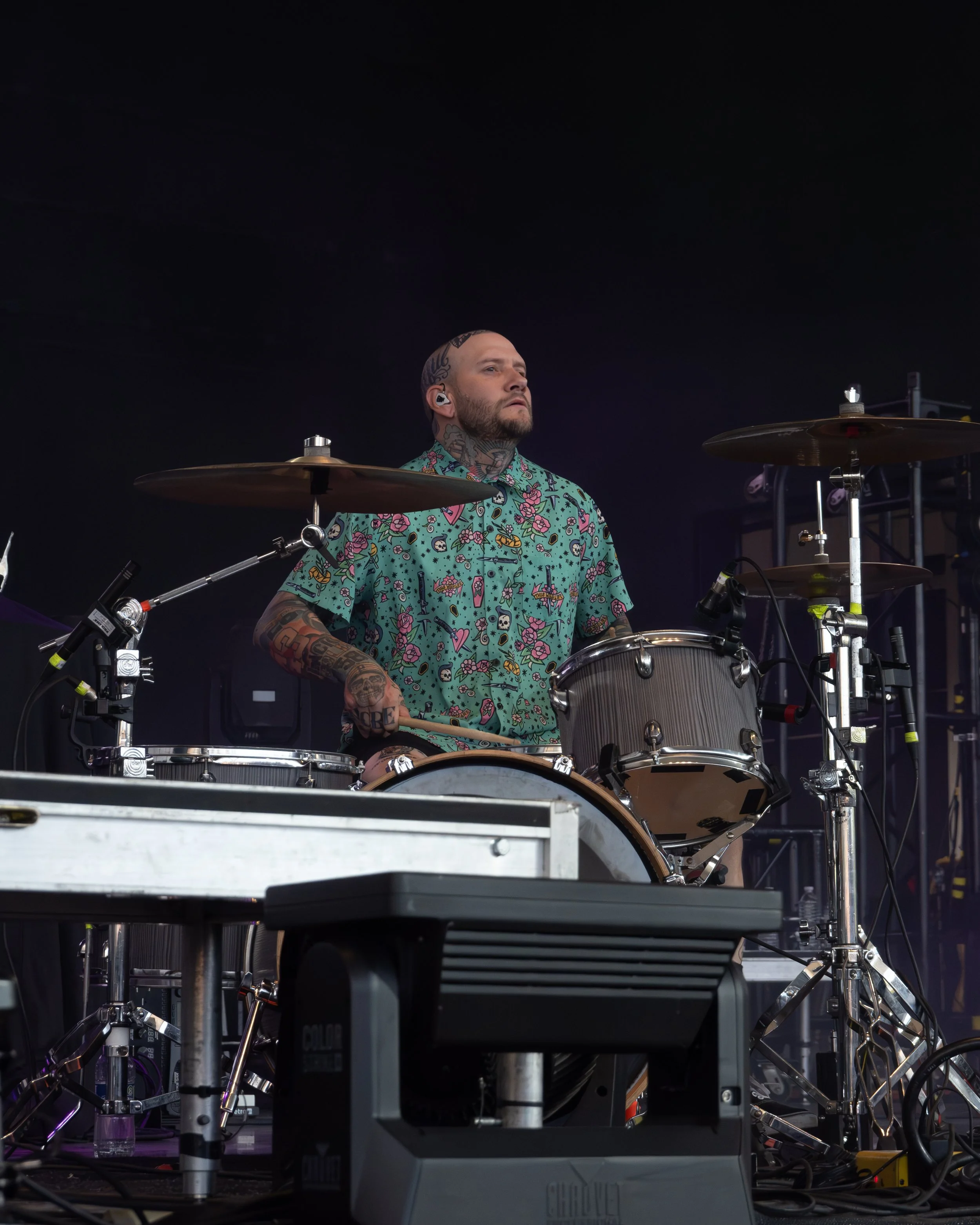 thiswildlife-06.jpg