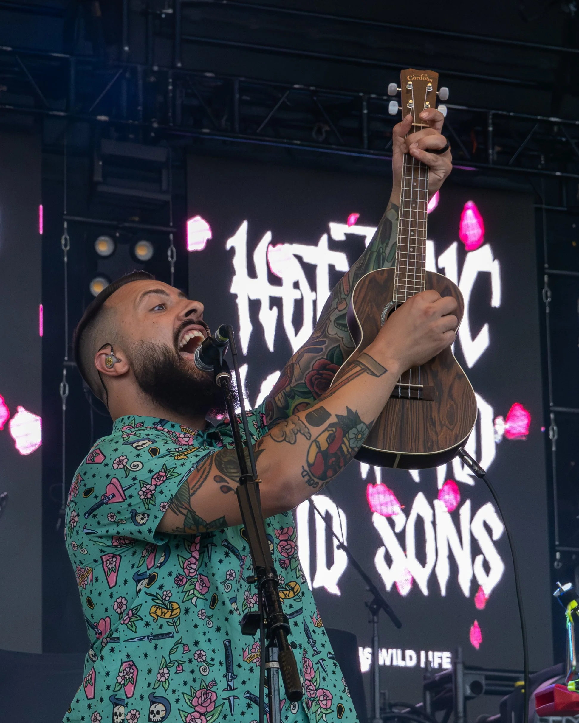 thiswildlife-02.jpg