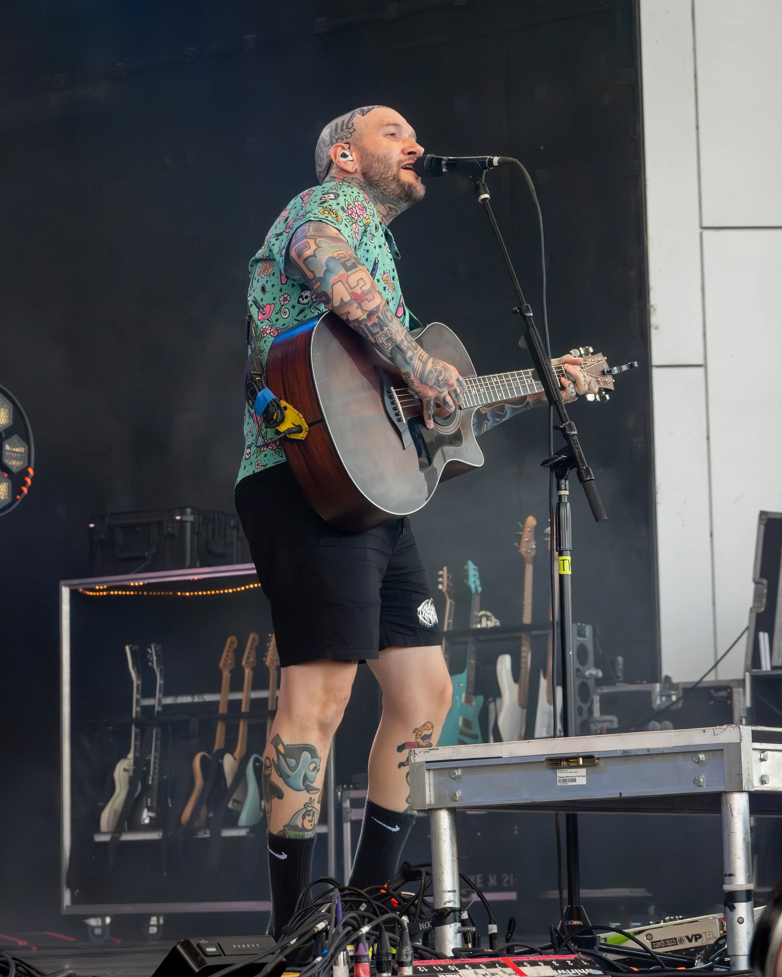 thiswildlife-04.jpg