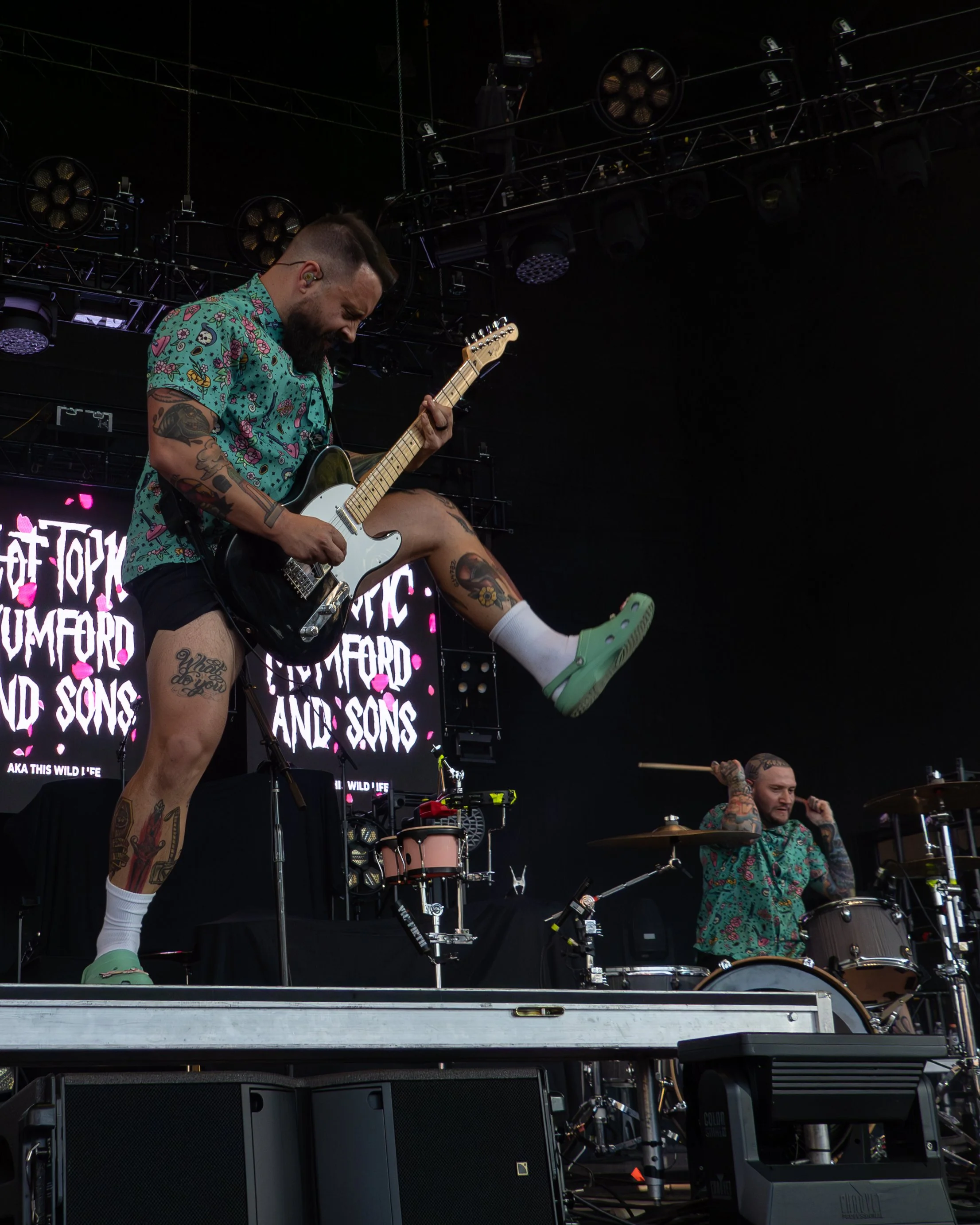 thiswildlife-12.jpg