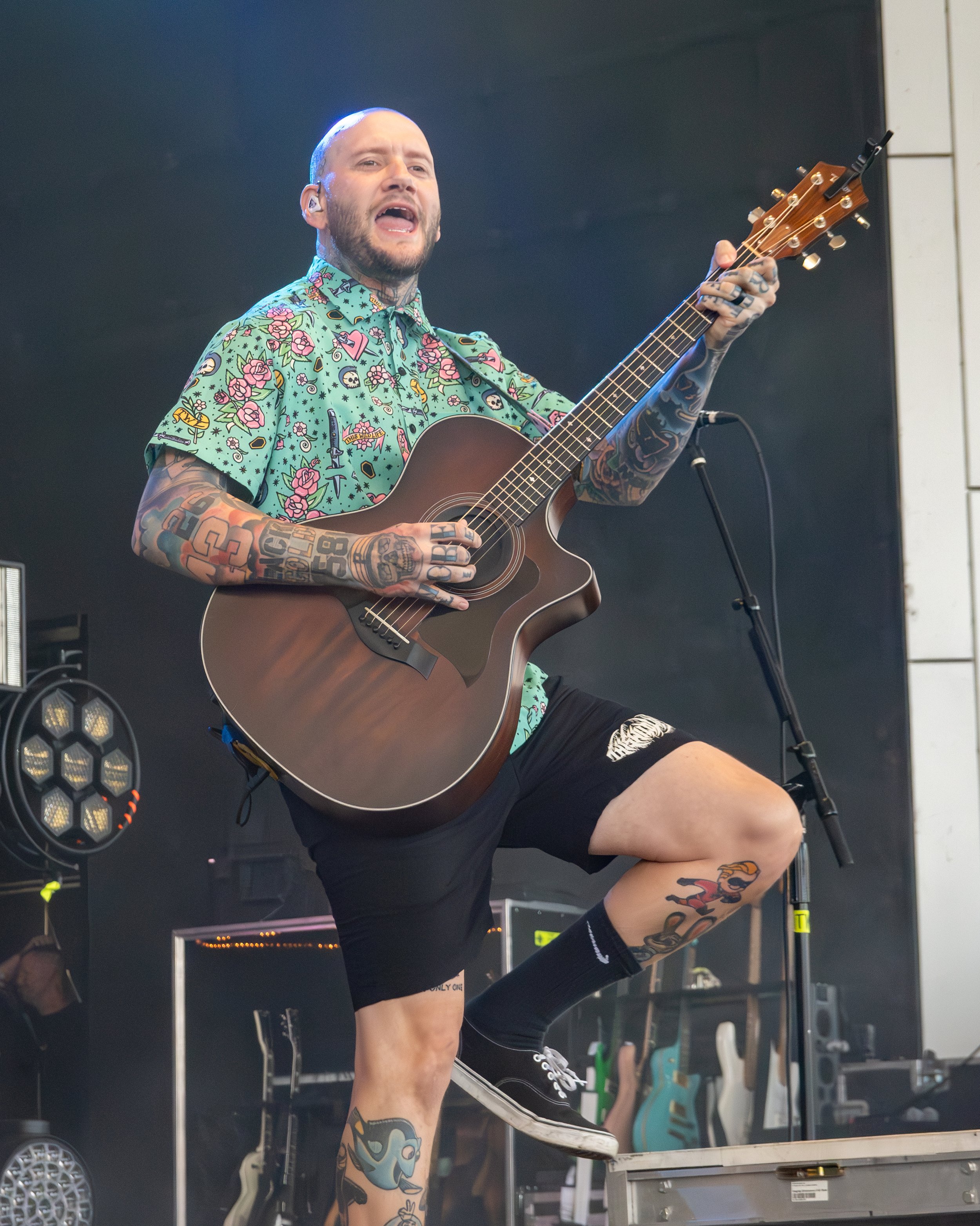 thiswildlife-03.jpg