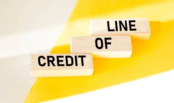 'LINE OF CREDIT' easy application and very inexpensive terms.  Fixed terms pay as you go line of credit.