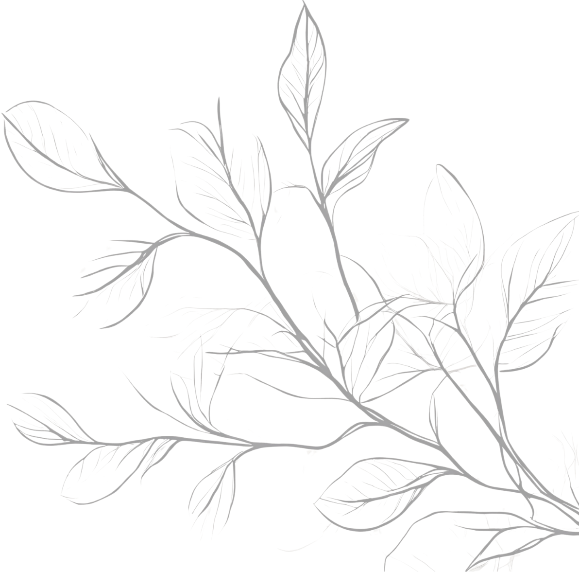 A white line drawing of a leafy branch on a black background.
