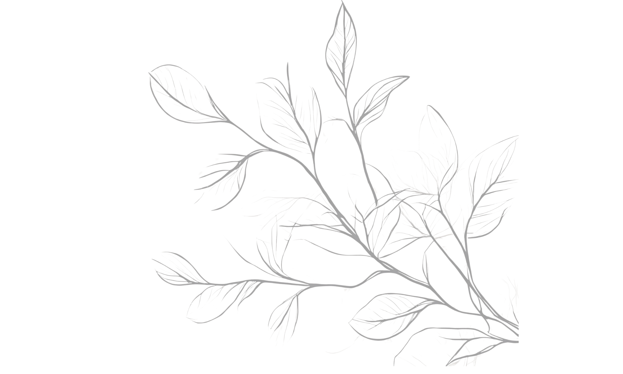Line drawing of a branch with several leaves on a black background.