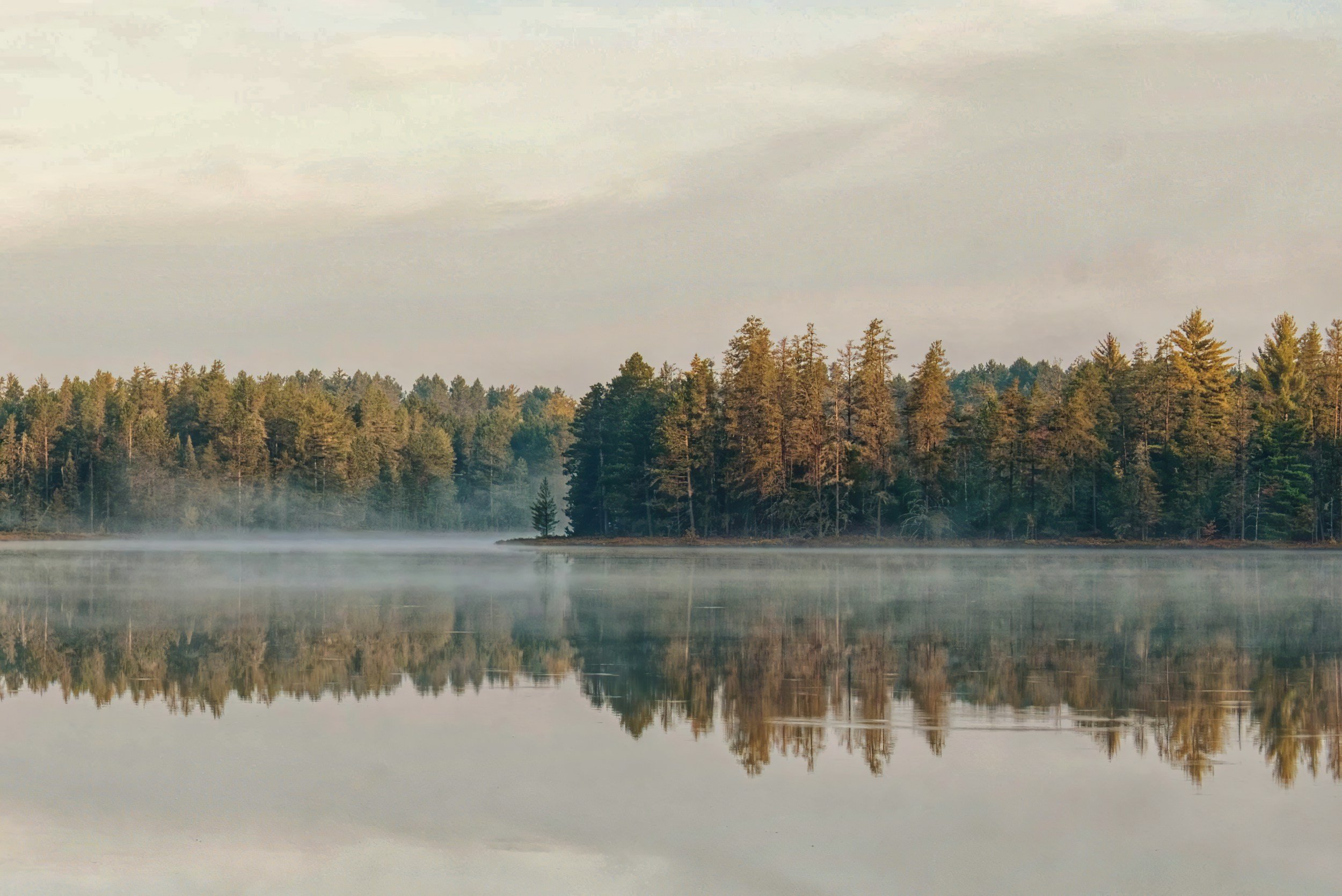 Therapy for those in Michigan with Anxiety & OCD