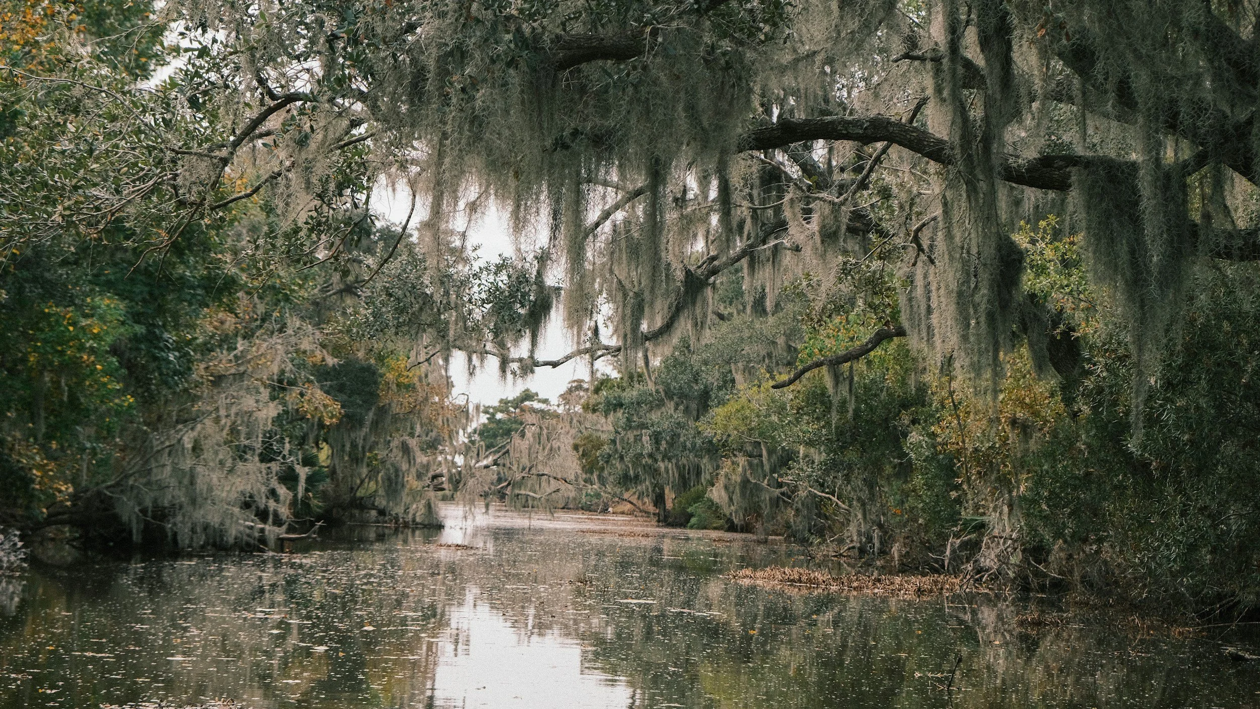 Therapy for those in Louisiana with Anxiety & OCD