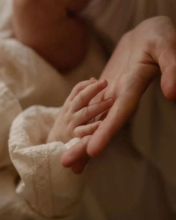 Close-up of a small child's hand gently holding an adult's hand.
