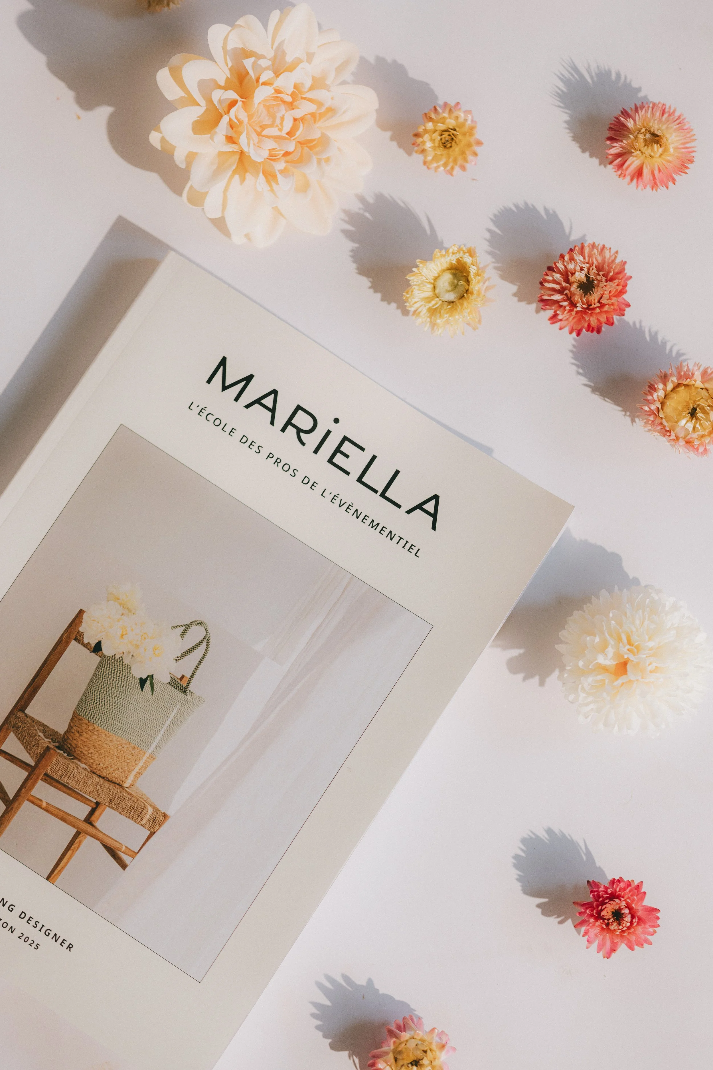 A. DI FRANCESCO-MARIELLA DOCS-62.jpg