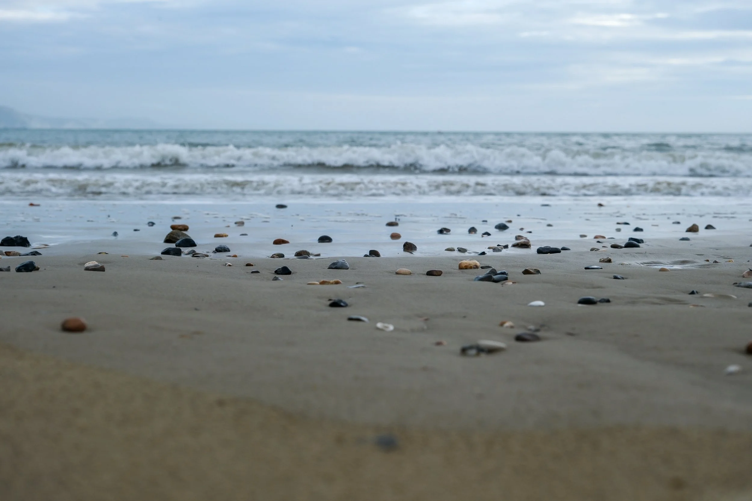 DSCF2116.jpg