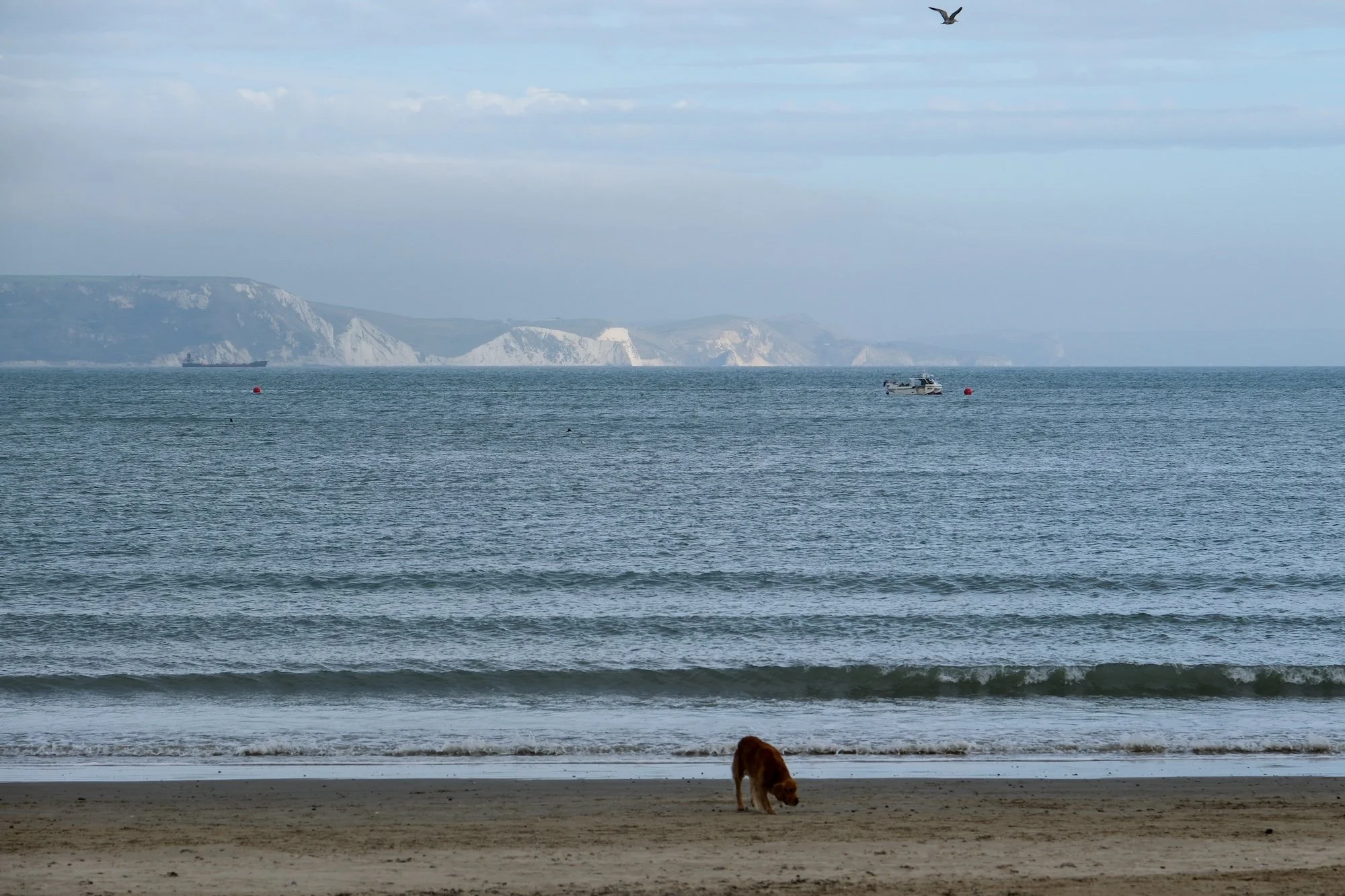 DSCF2174.jpg