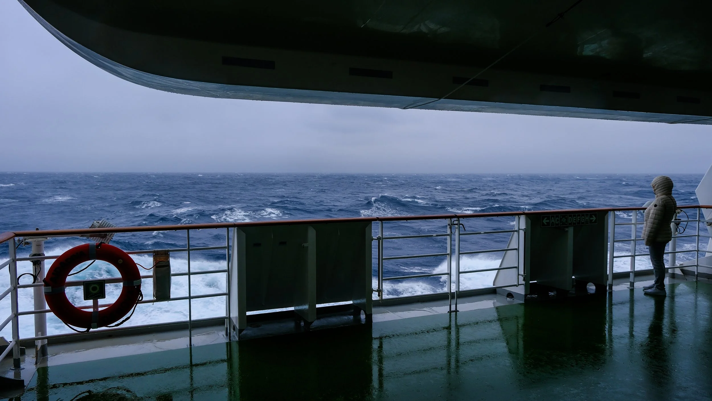 DSCF2570.jpg