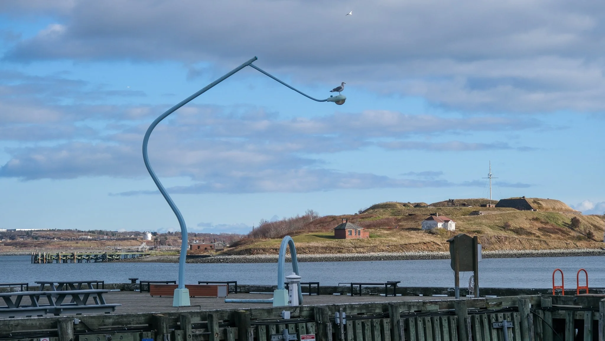 DSCF3099.jpg