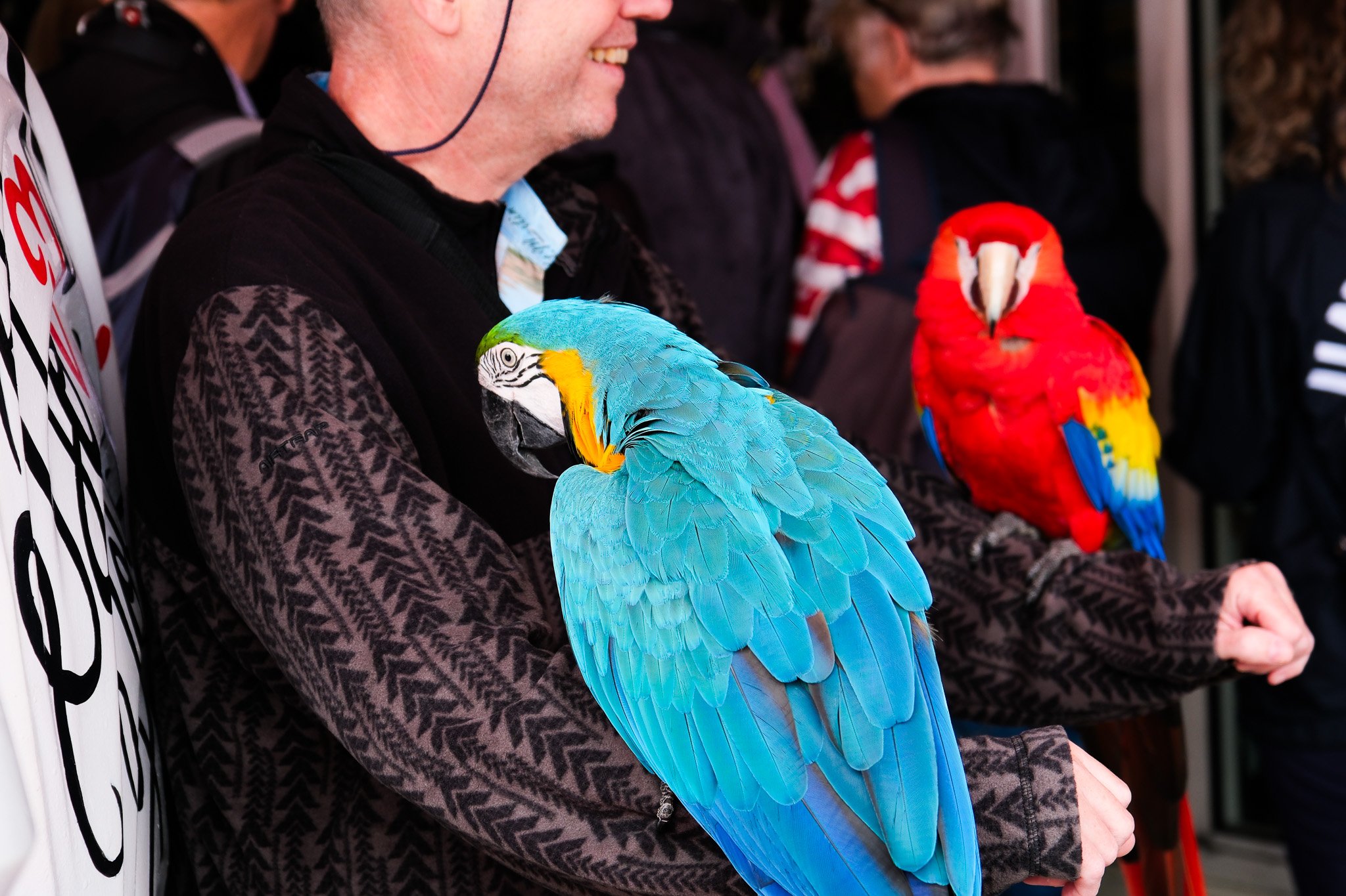 DSCF5319.jpg