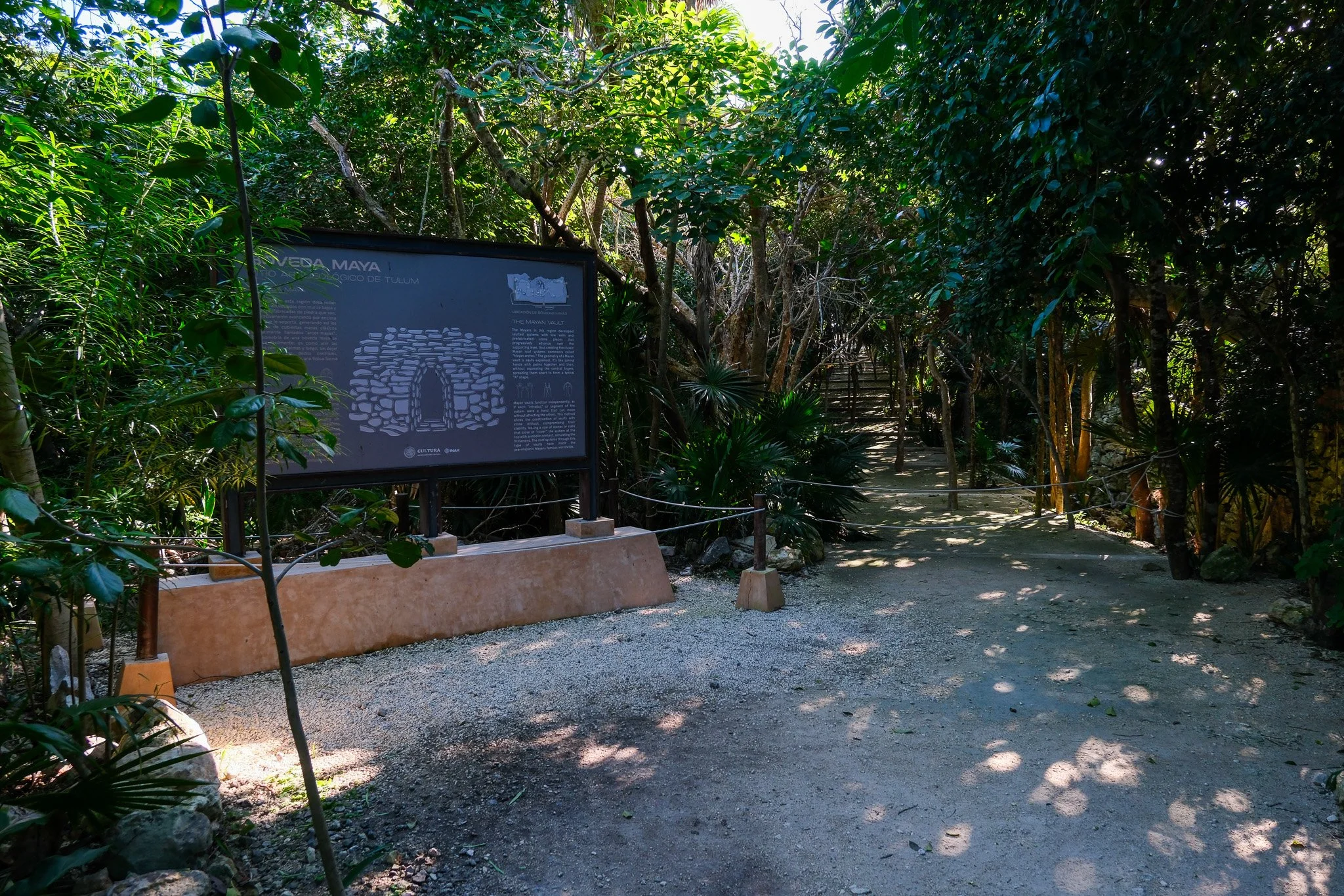 DSCF5620.jpg