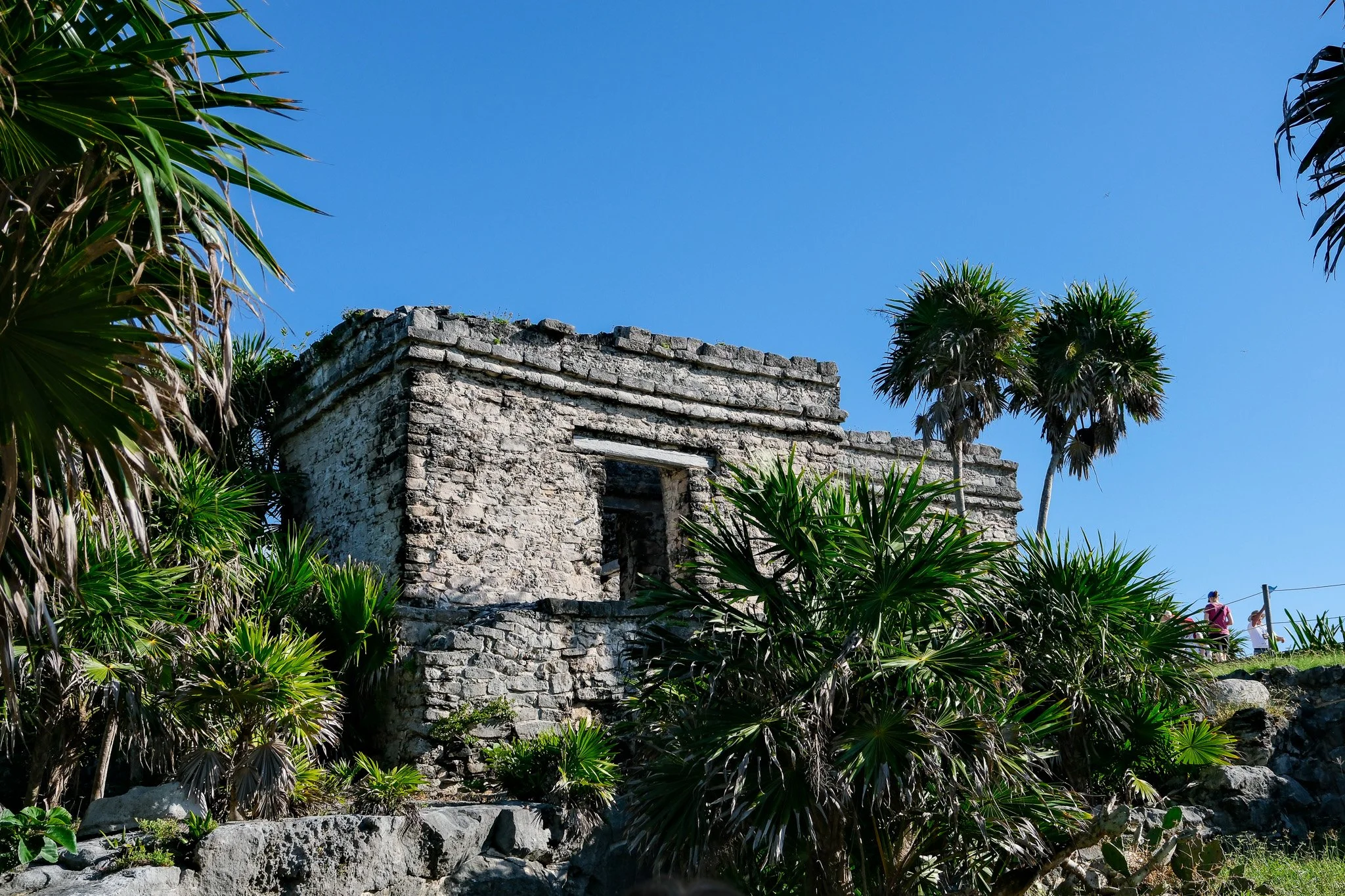 DSCF5636.jpg