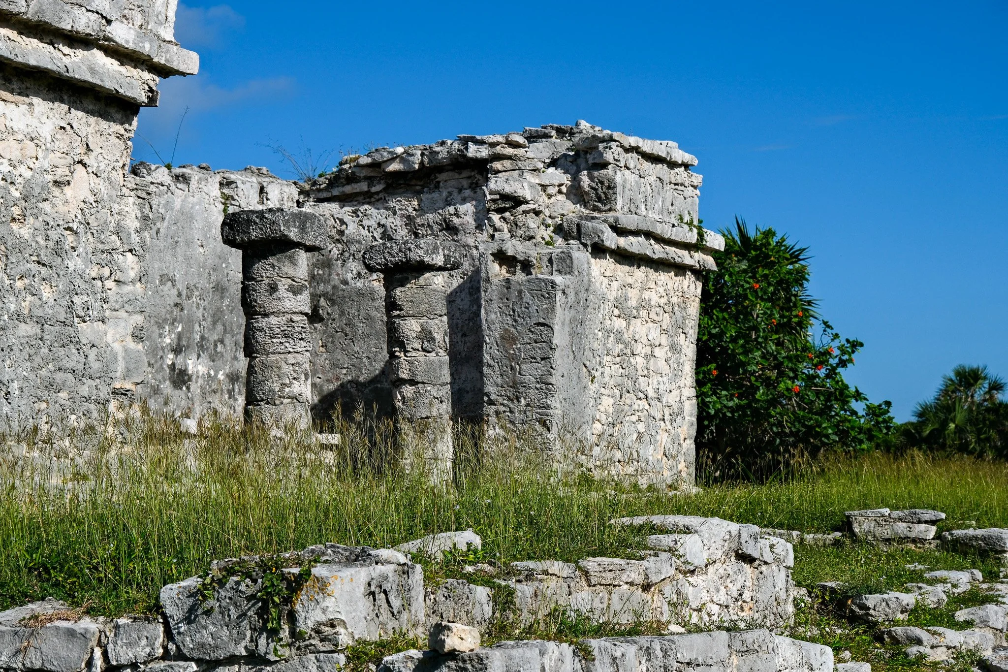 DSCF5677.jpg