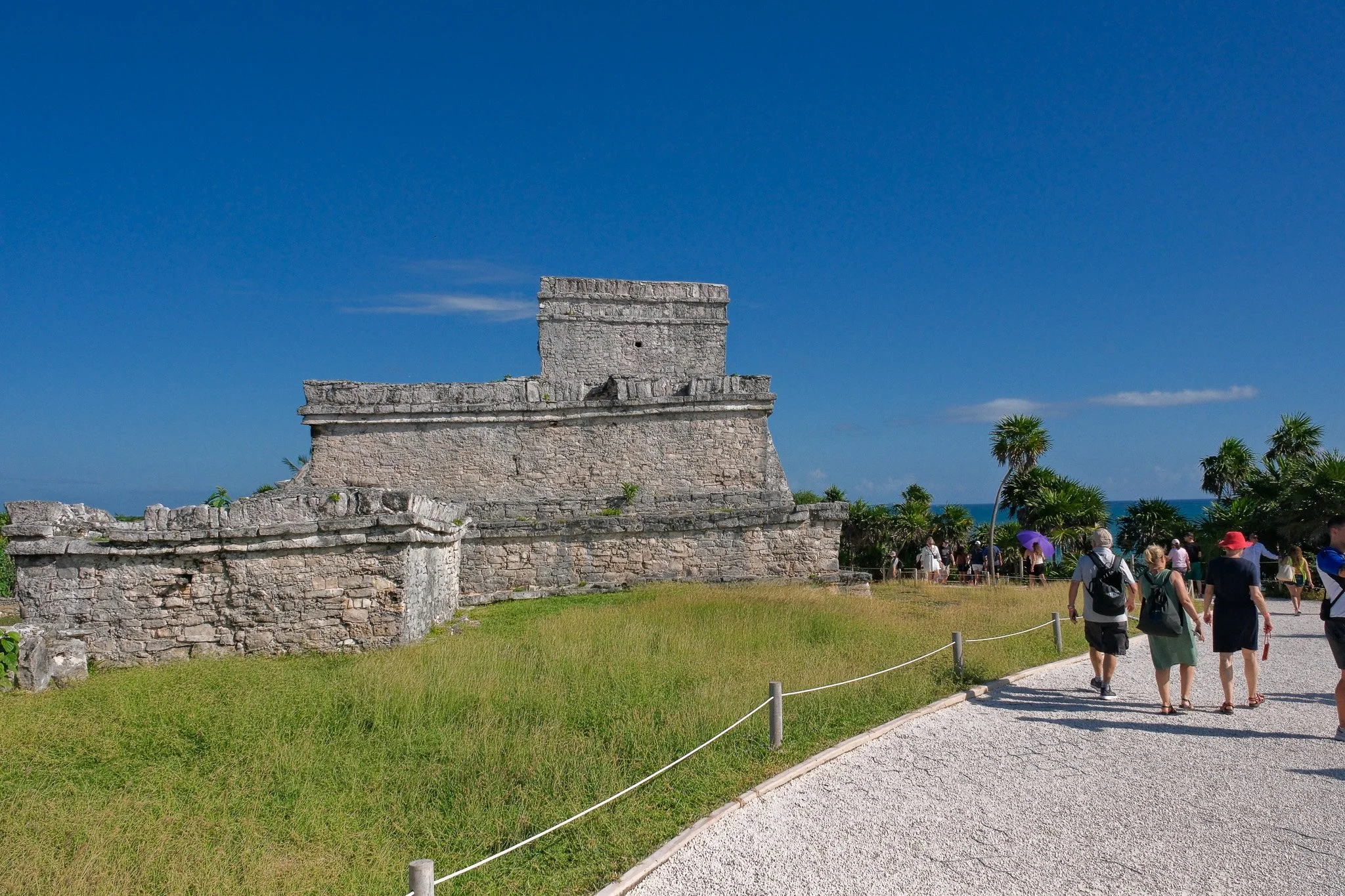 DSCF5690.jpg