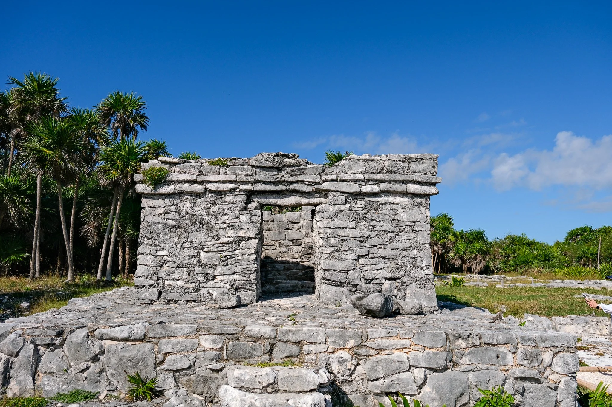 DSCF5741.jpg
