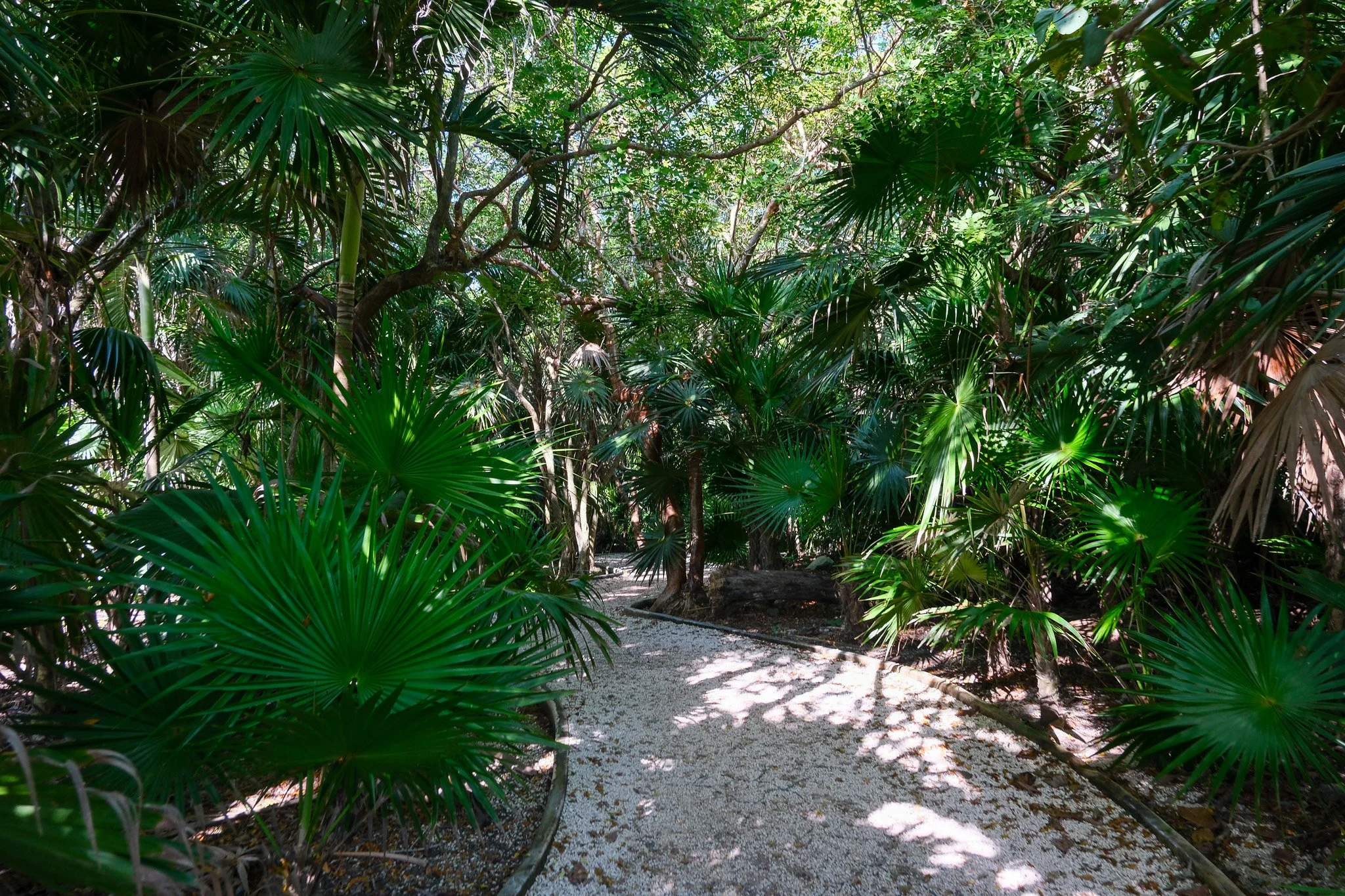 DSCF5751.jpg