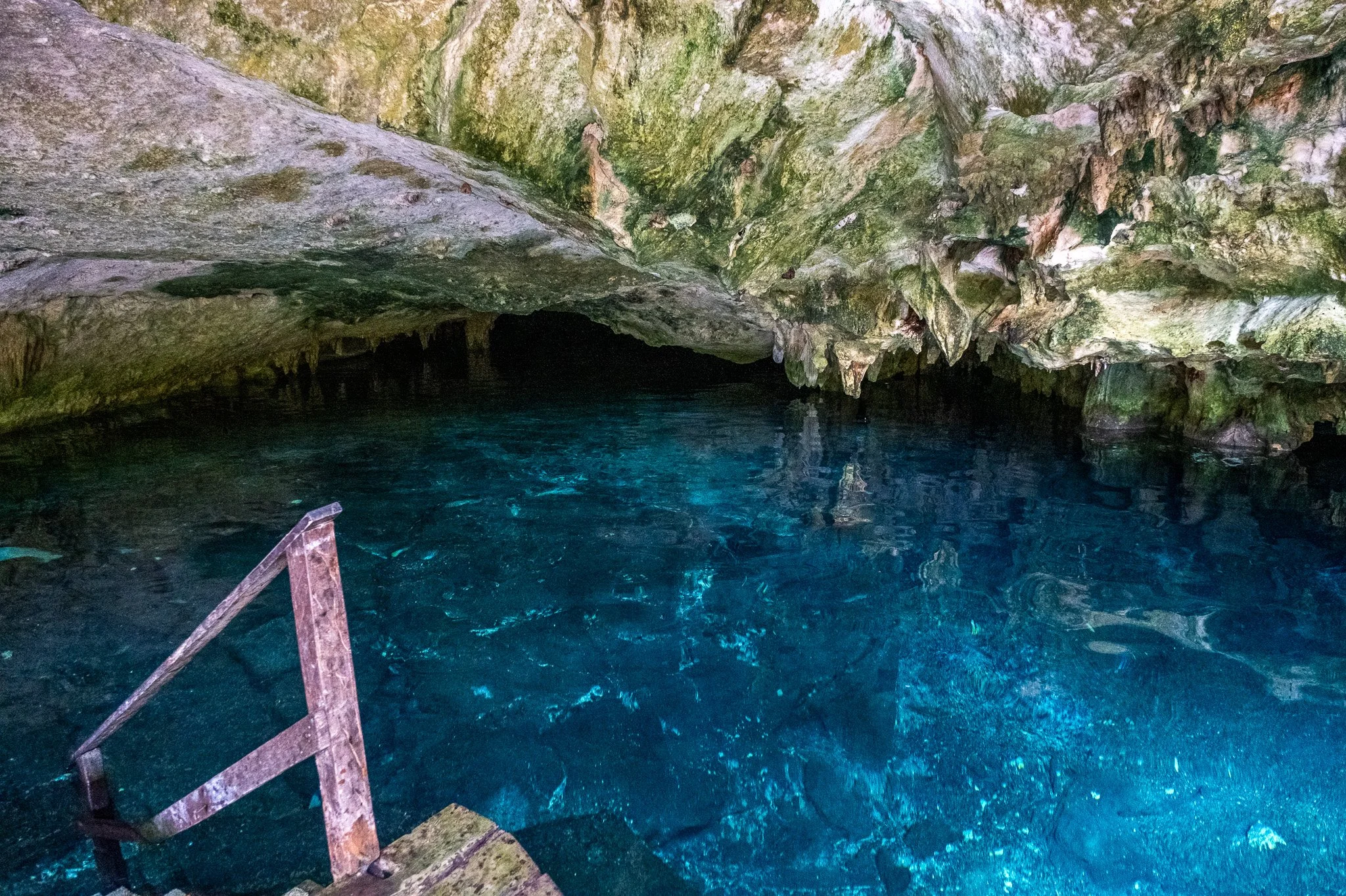 DSCF5773-2.jpg