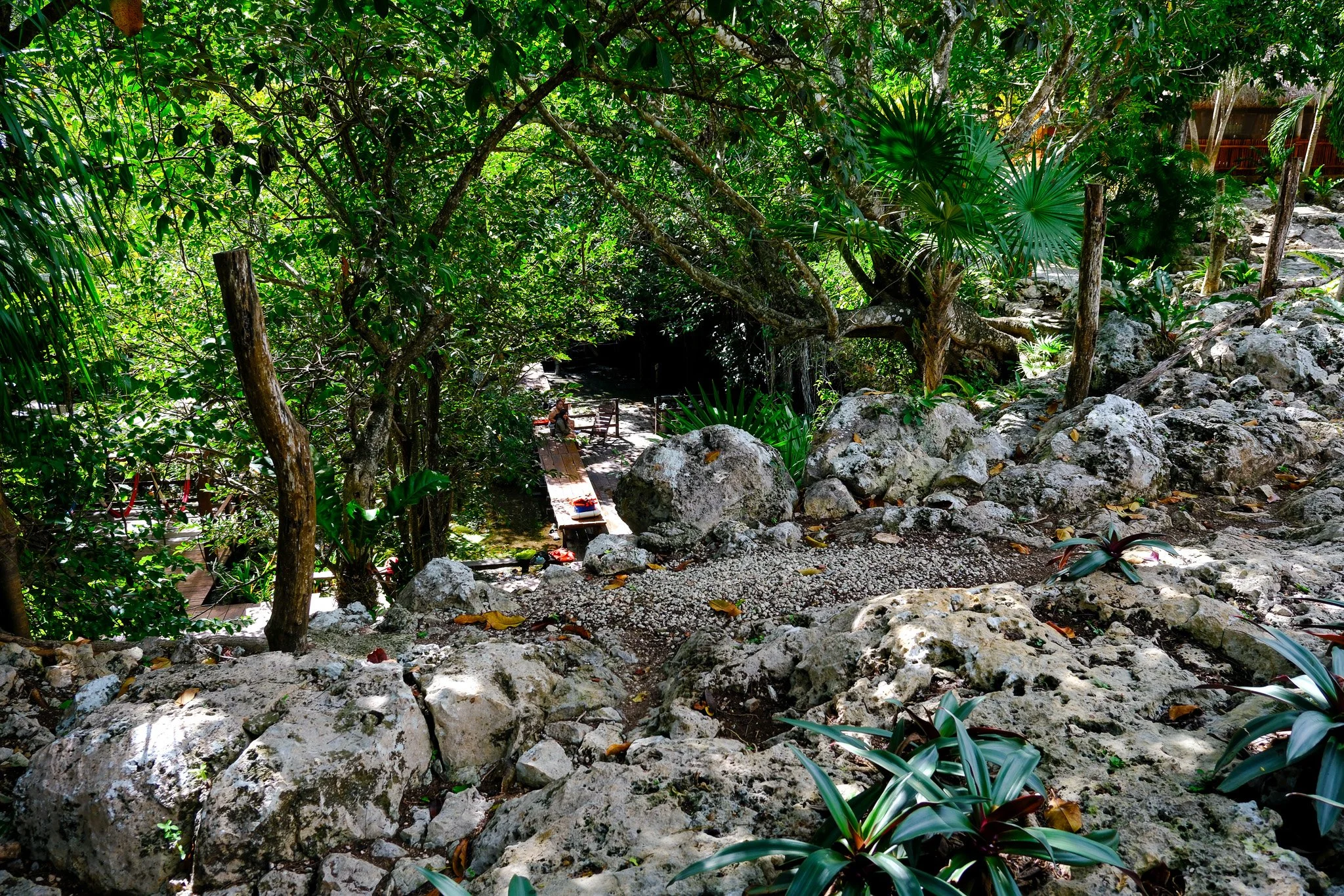 DSCF5784.jpg