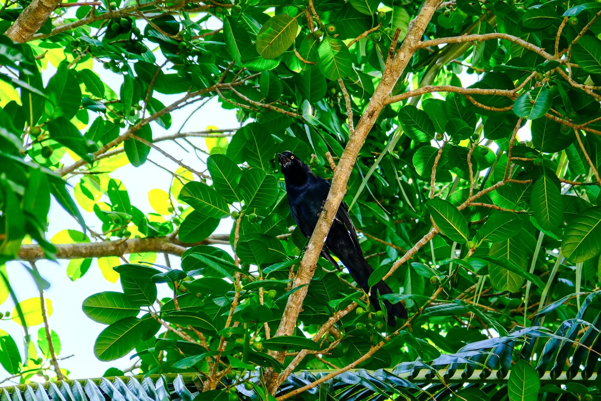 DSCF5793.jpg