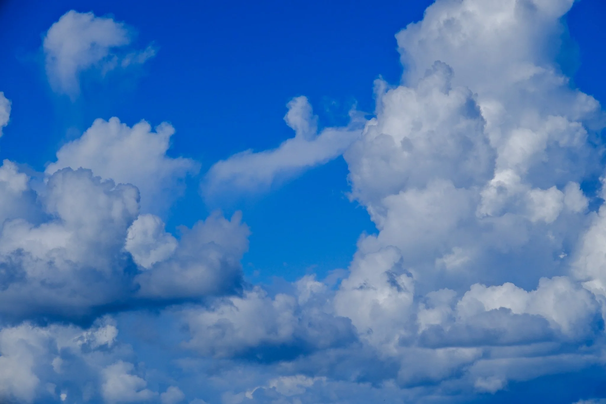 DSCF5823.jpg
