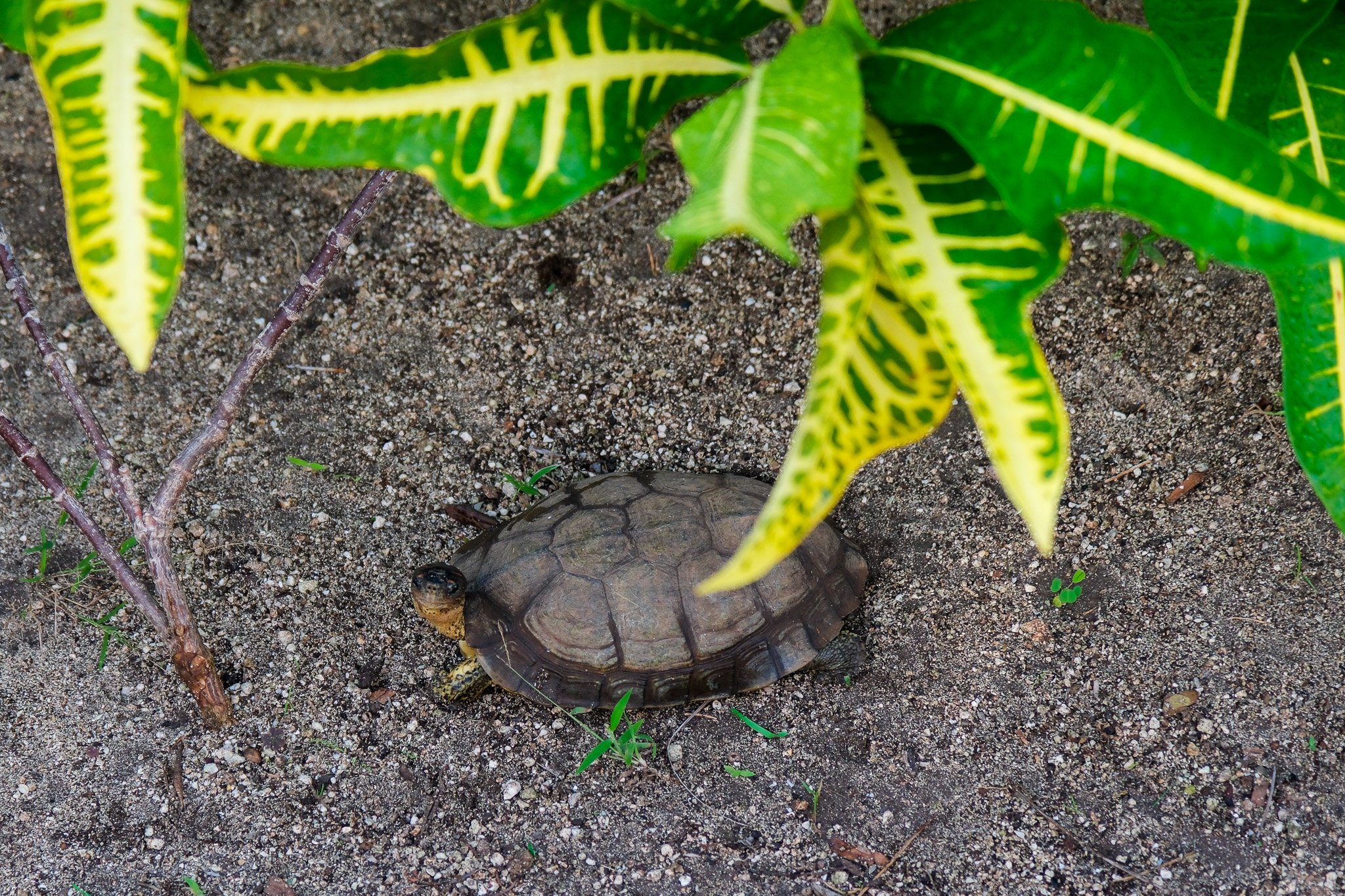 DSCF5847.jpg
