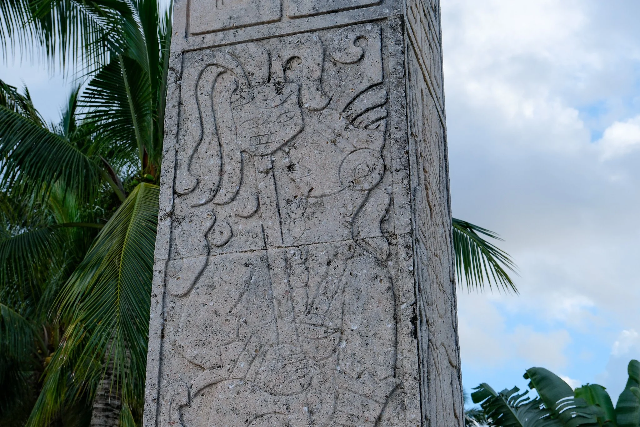 DSCF5863.jpg