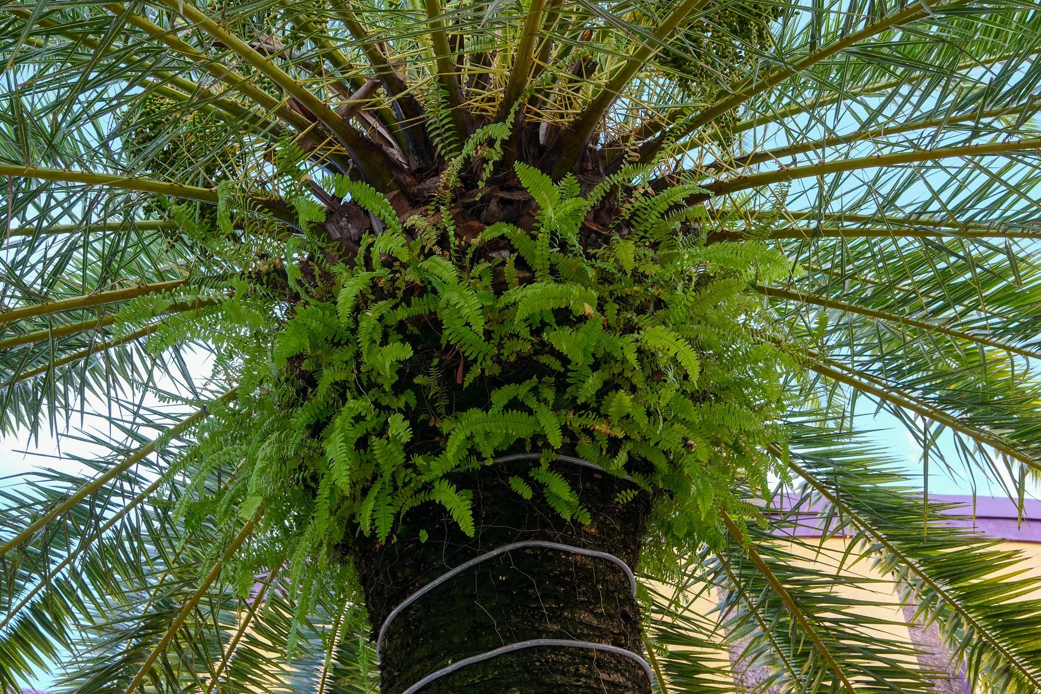 DSCF5870.jpg