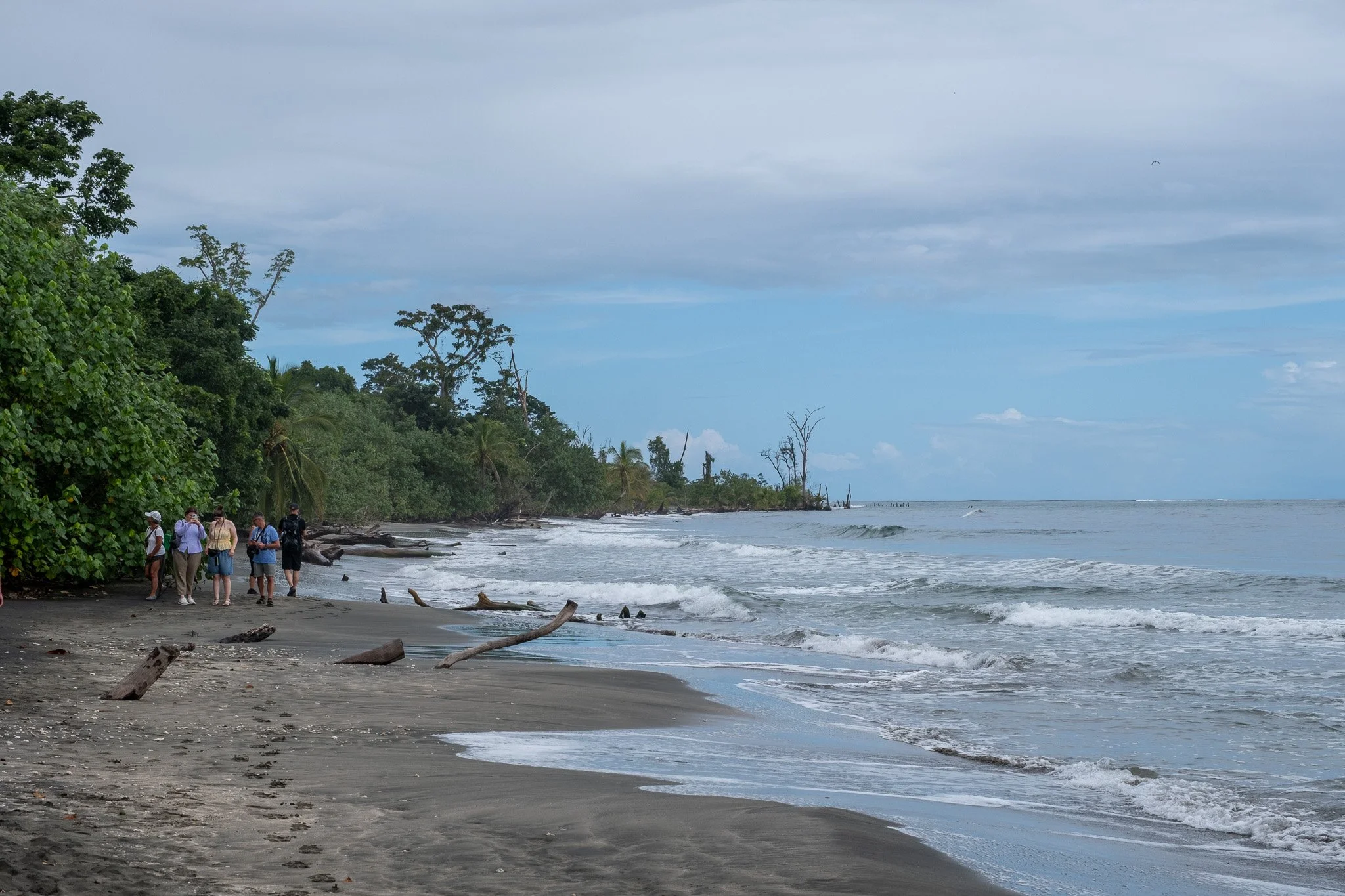 DSCF6376.jpg