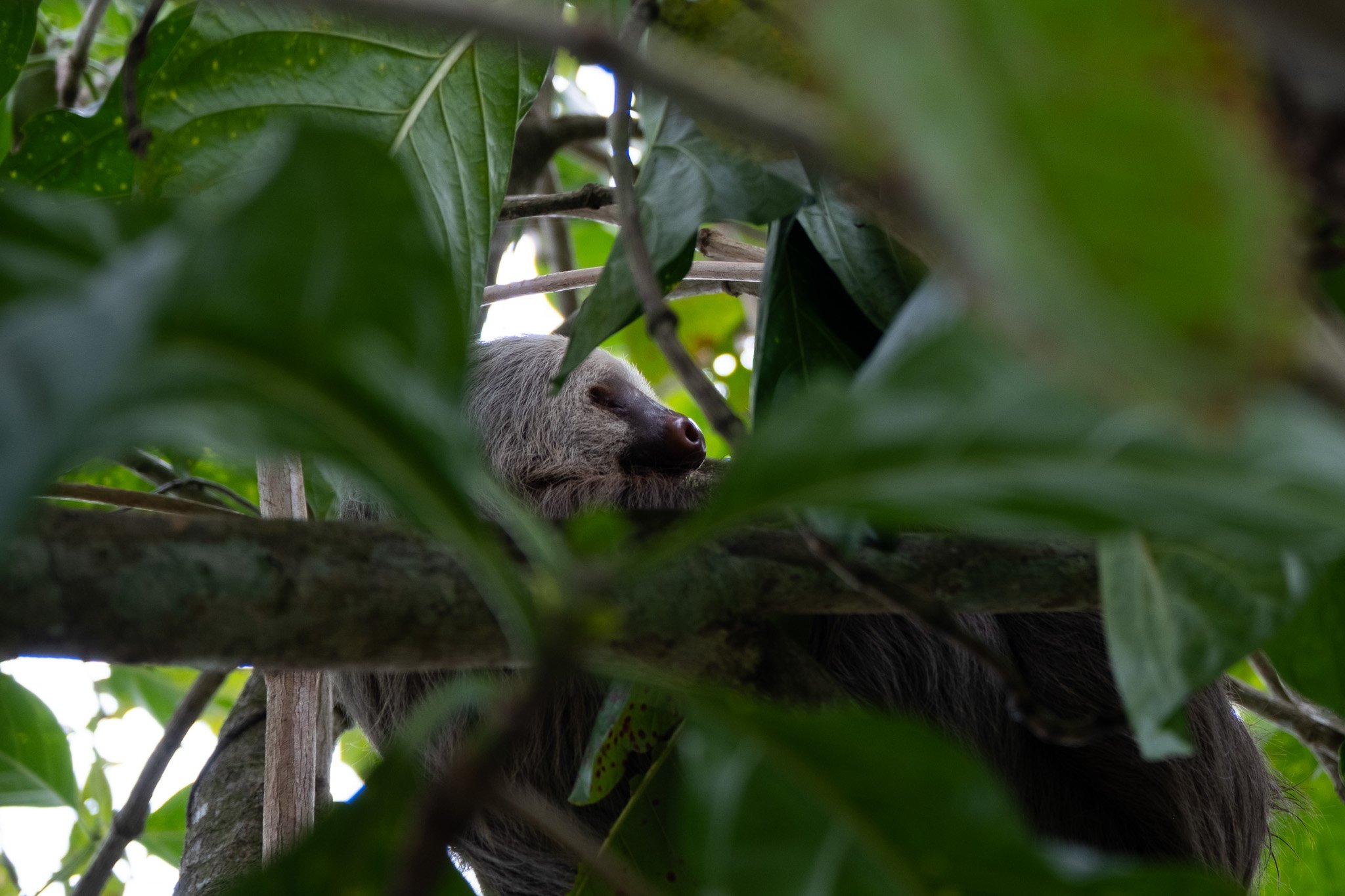 DSCF6397.jpg