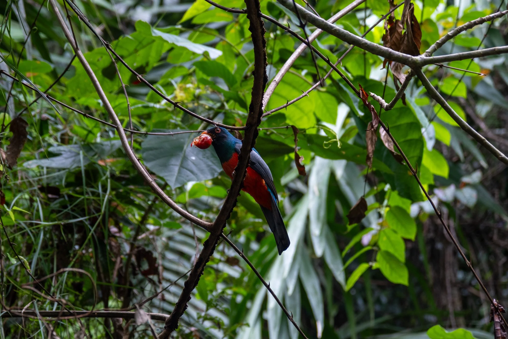 DSCF6422.jpg