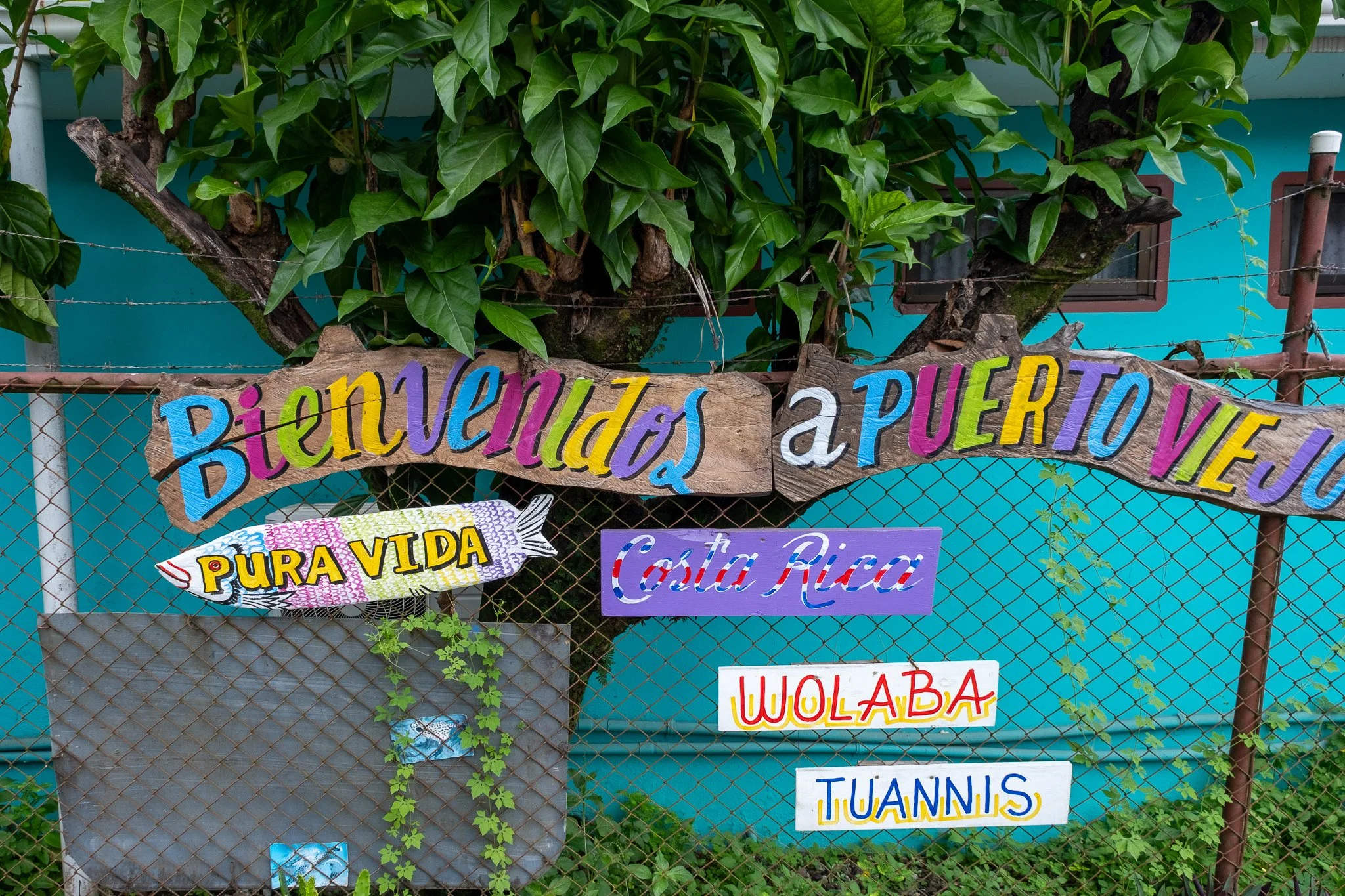 DSCF6511.jpg