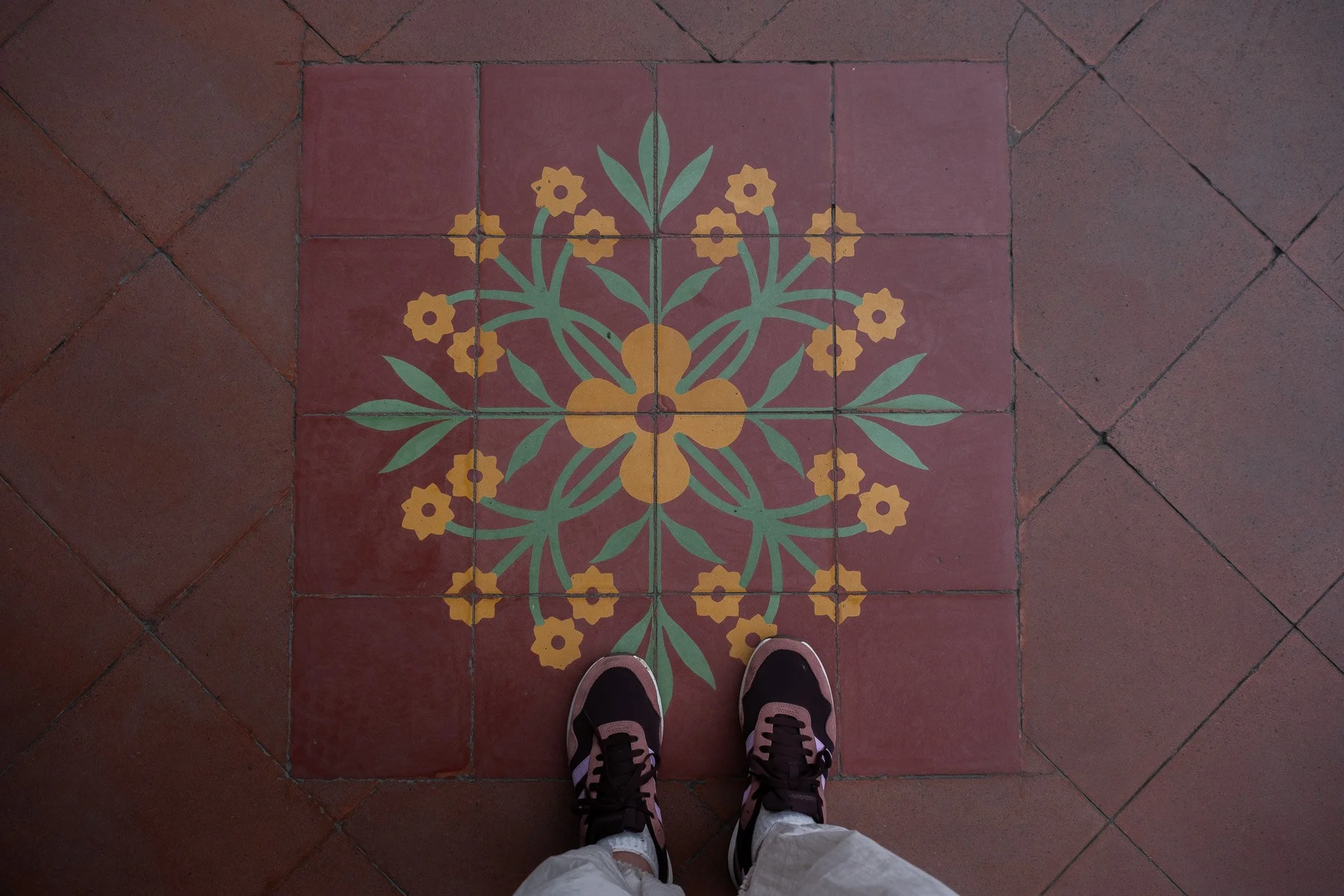 DSCF6515.jpg
