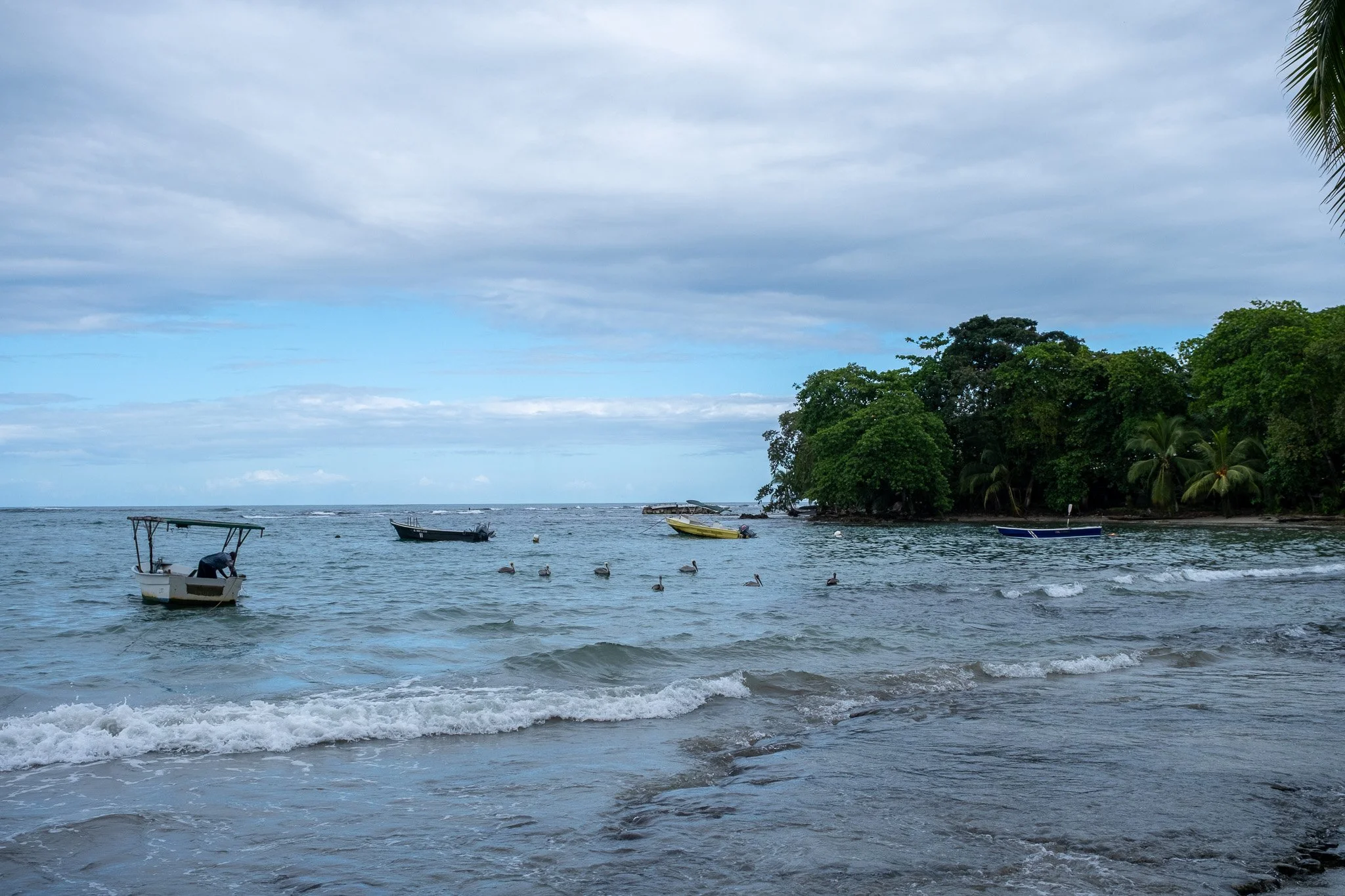 DSCF6521.jpg