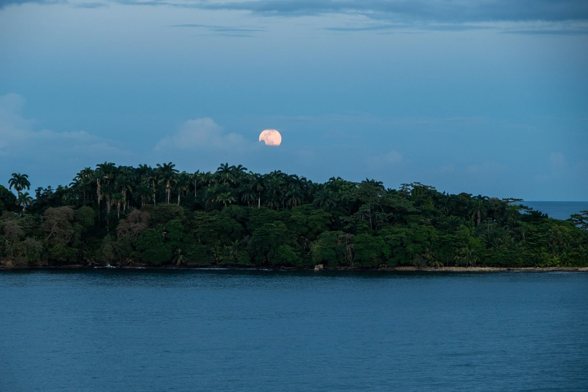 DSCF6558.jpg